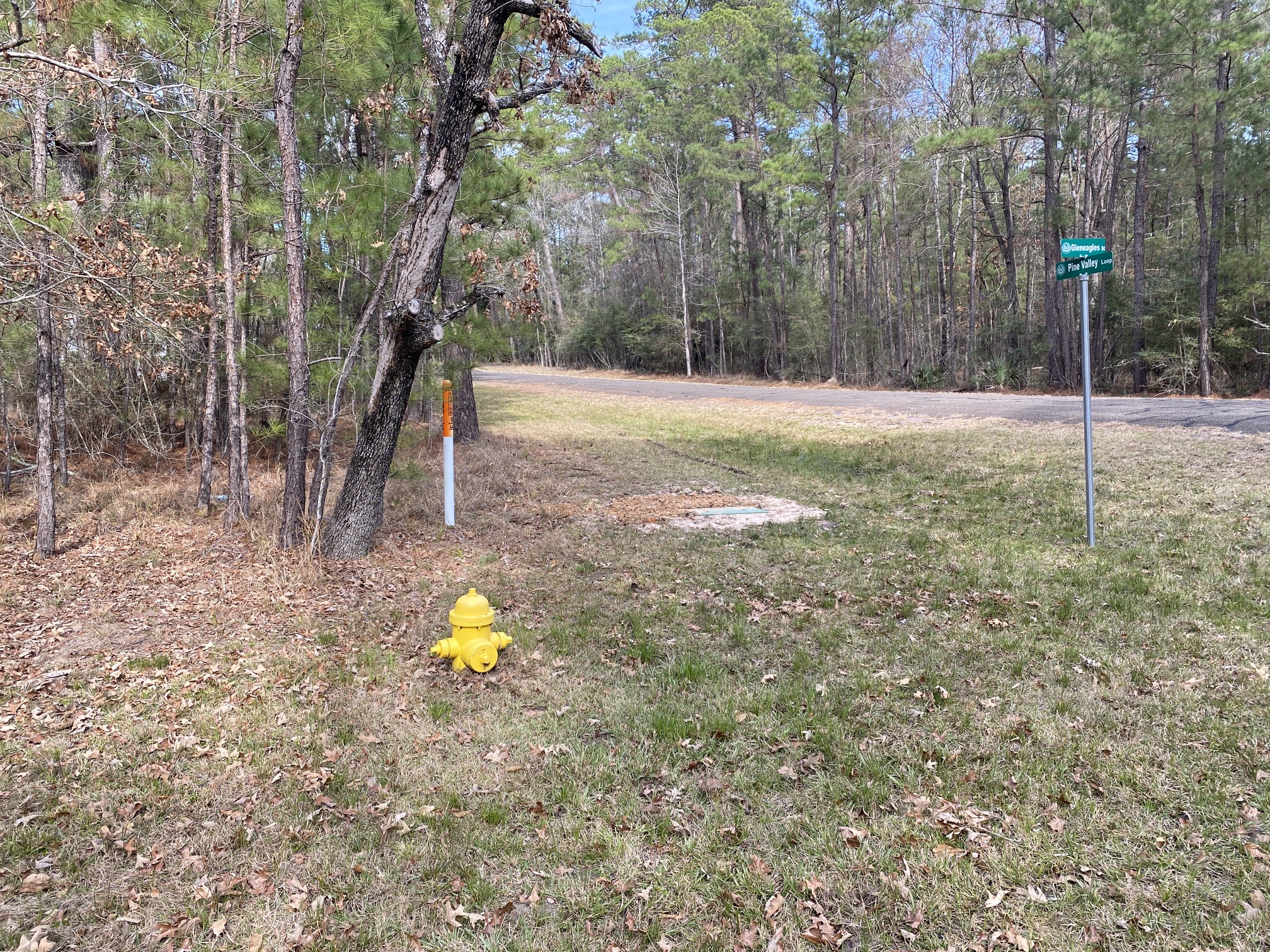 24418 Gleneagles Property Photo 4