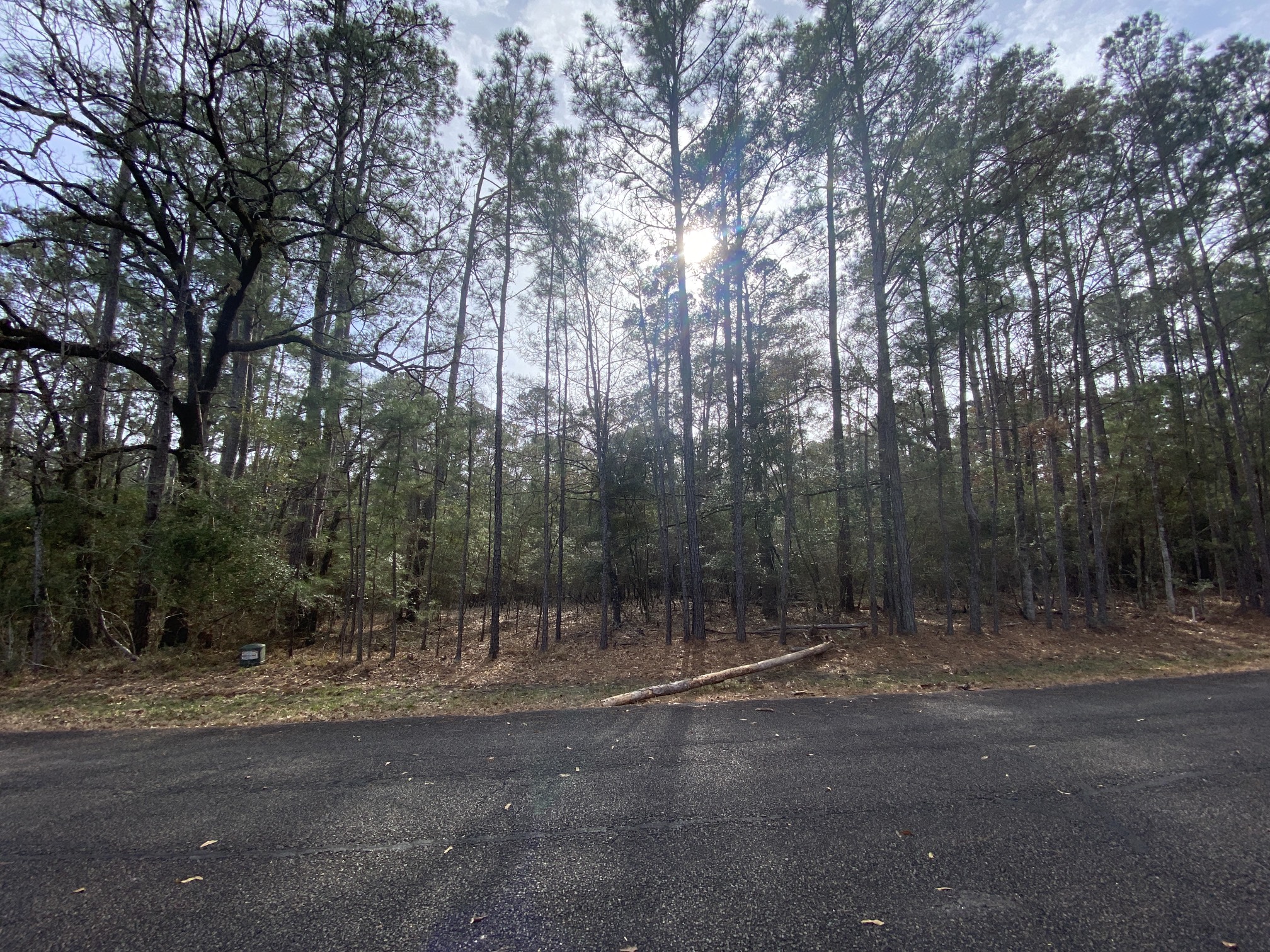 24418 Gleneagles Property Photo 7