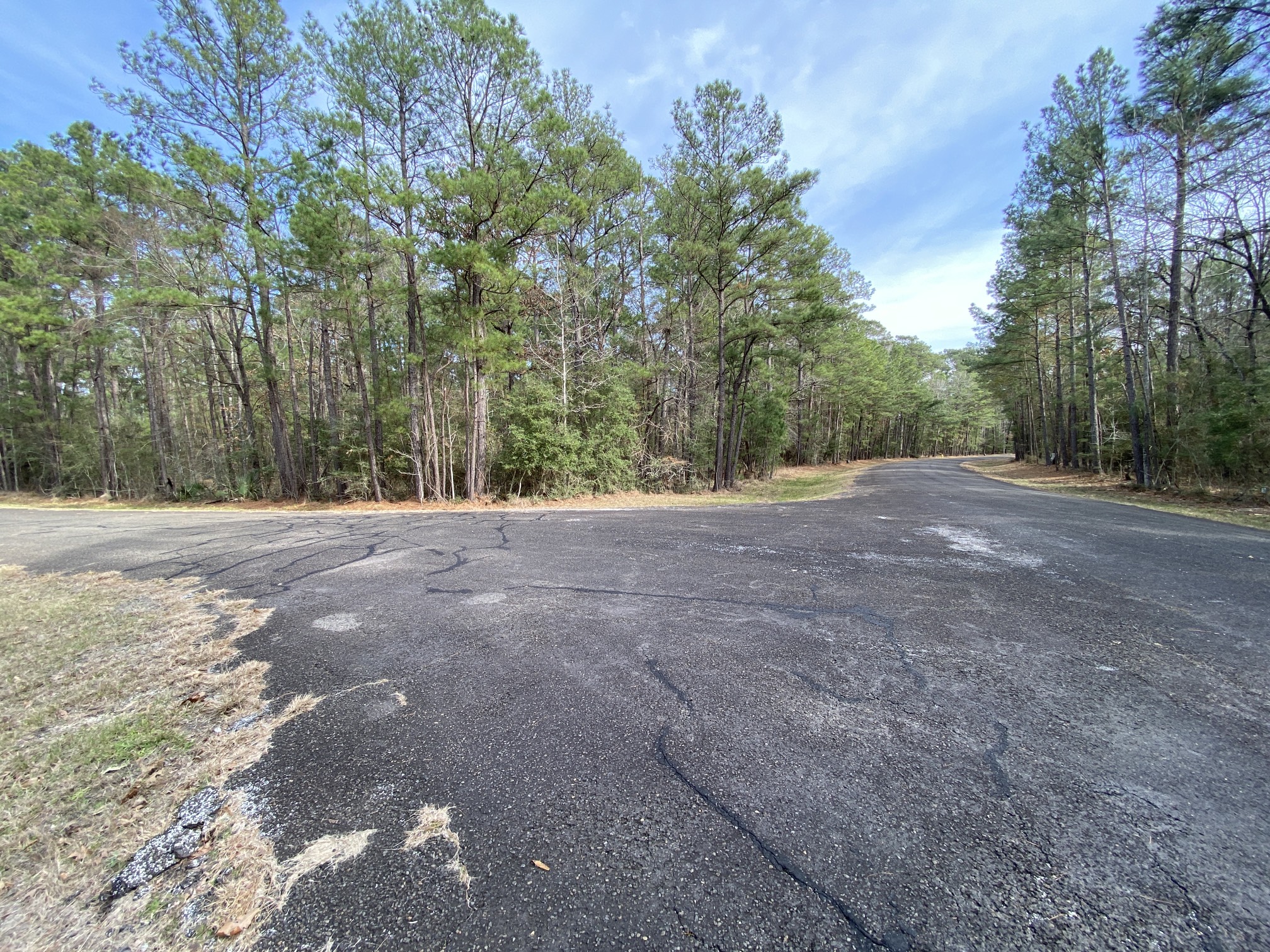 24418 Gleneagles Property Photo 8