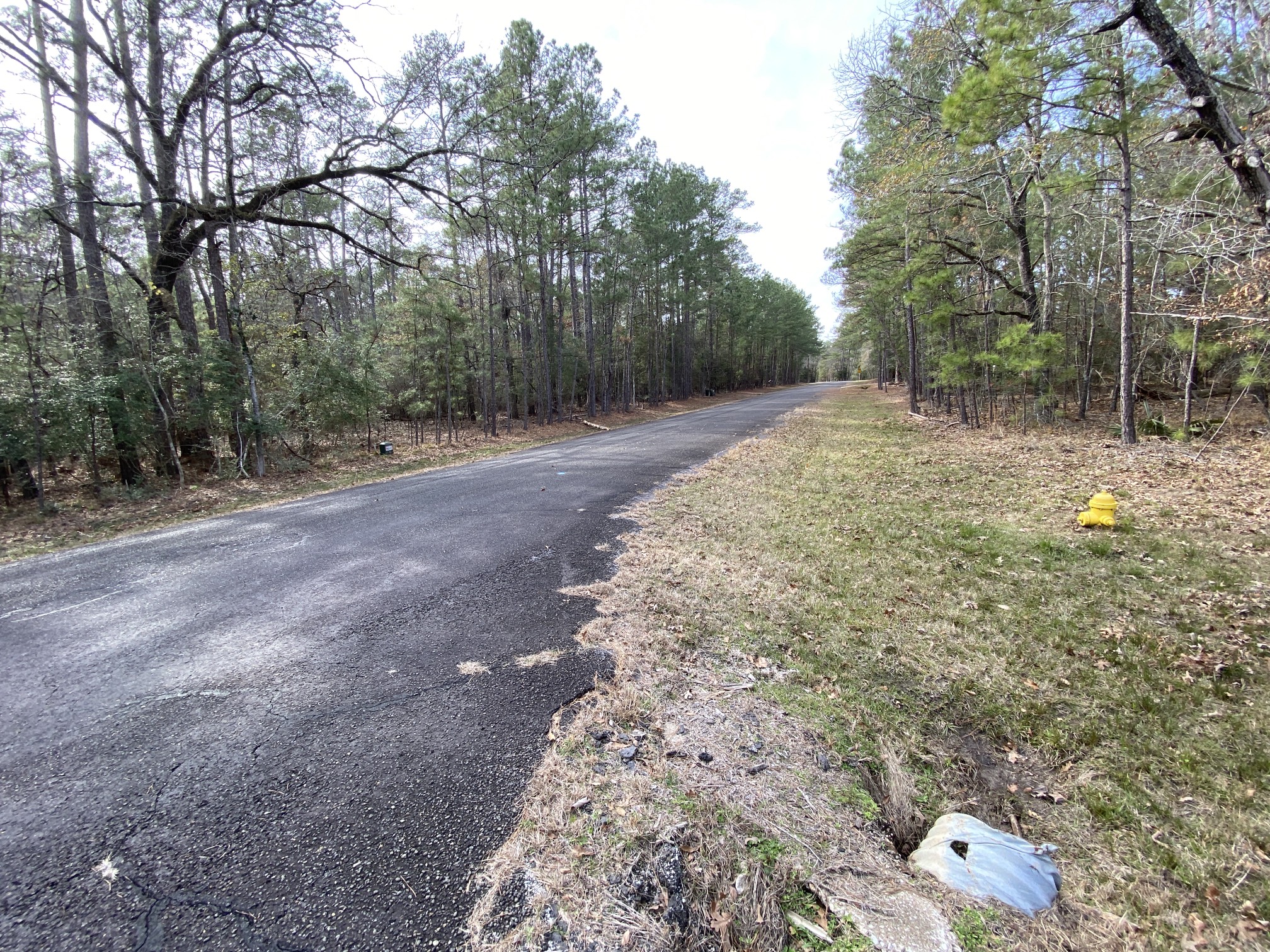 24418 Gleneagles Property Photo 9