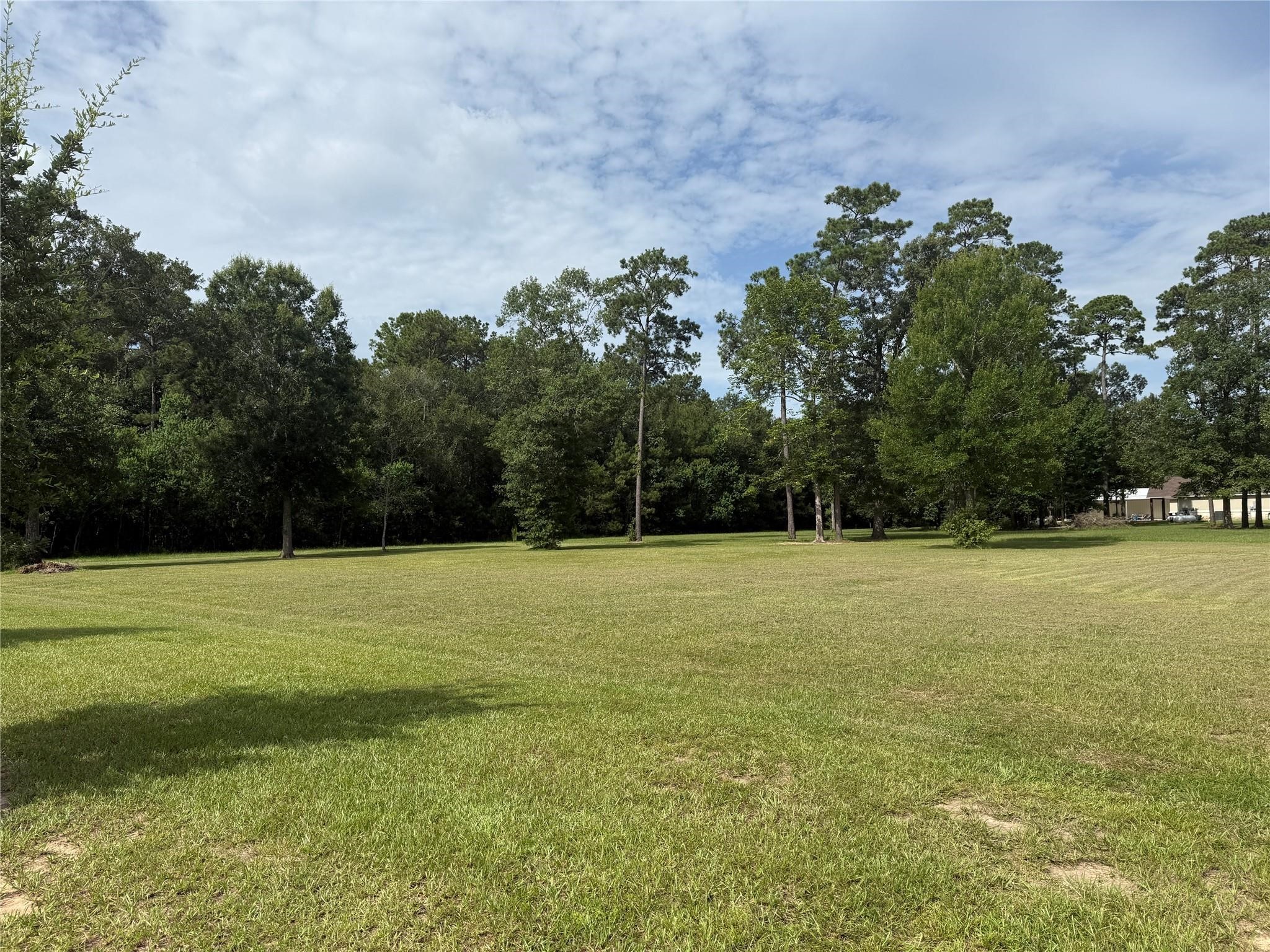 318 Pinchback Drive Property Photo 1