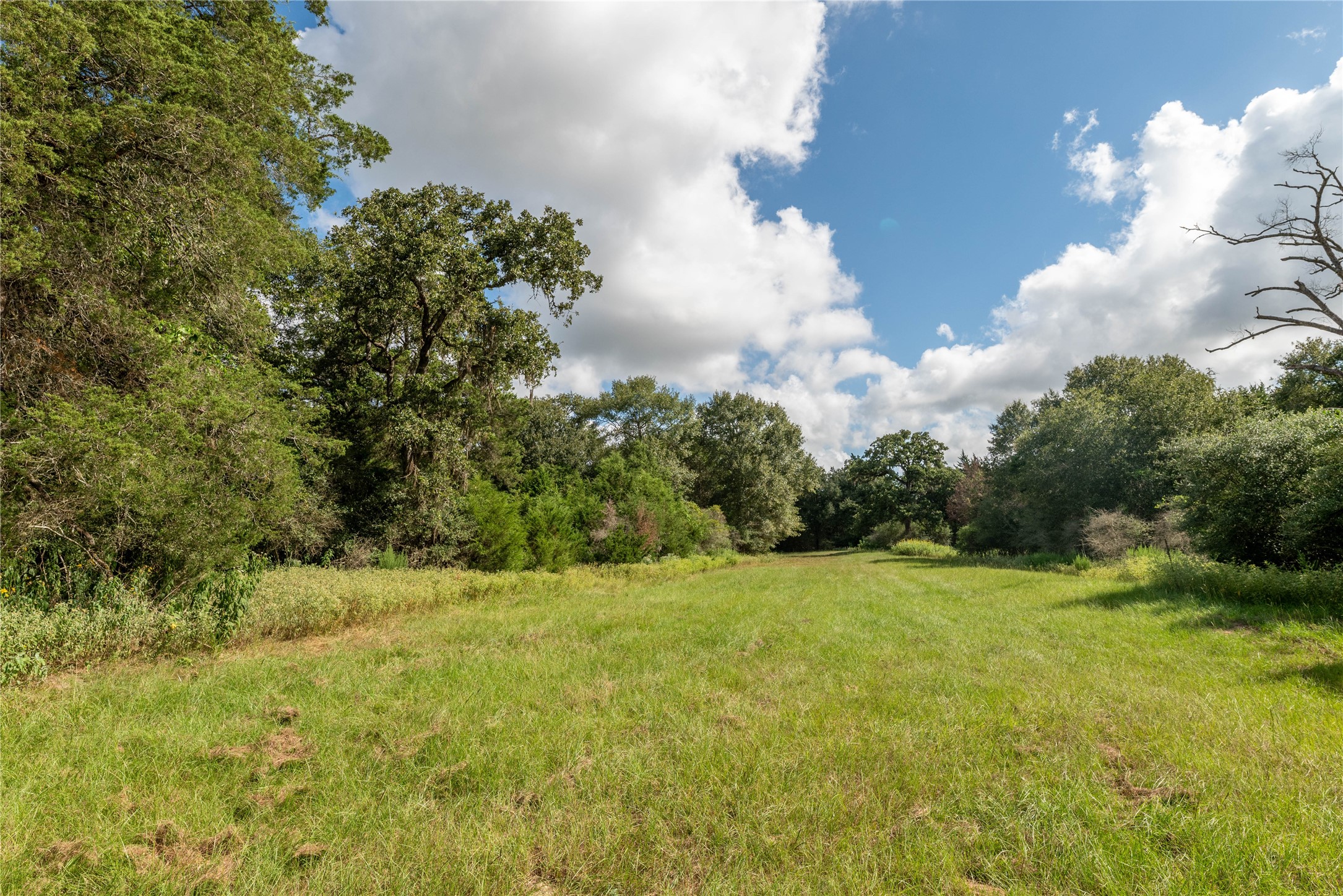 2274 Brunes Mill Road Property Photo 13