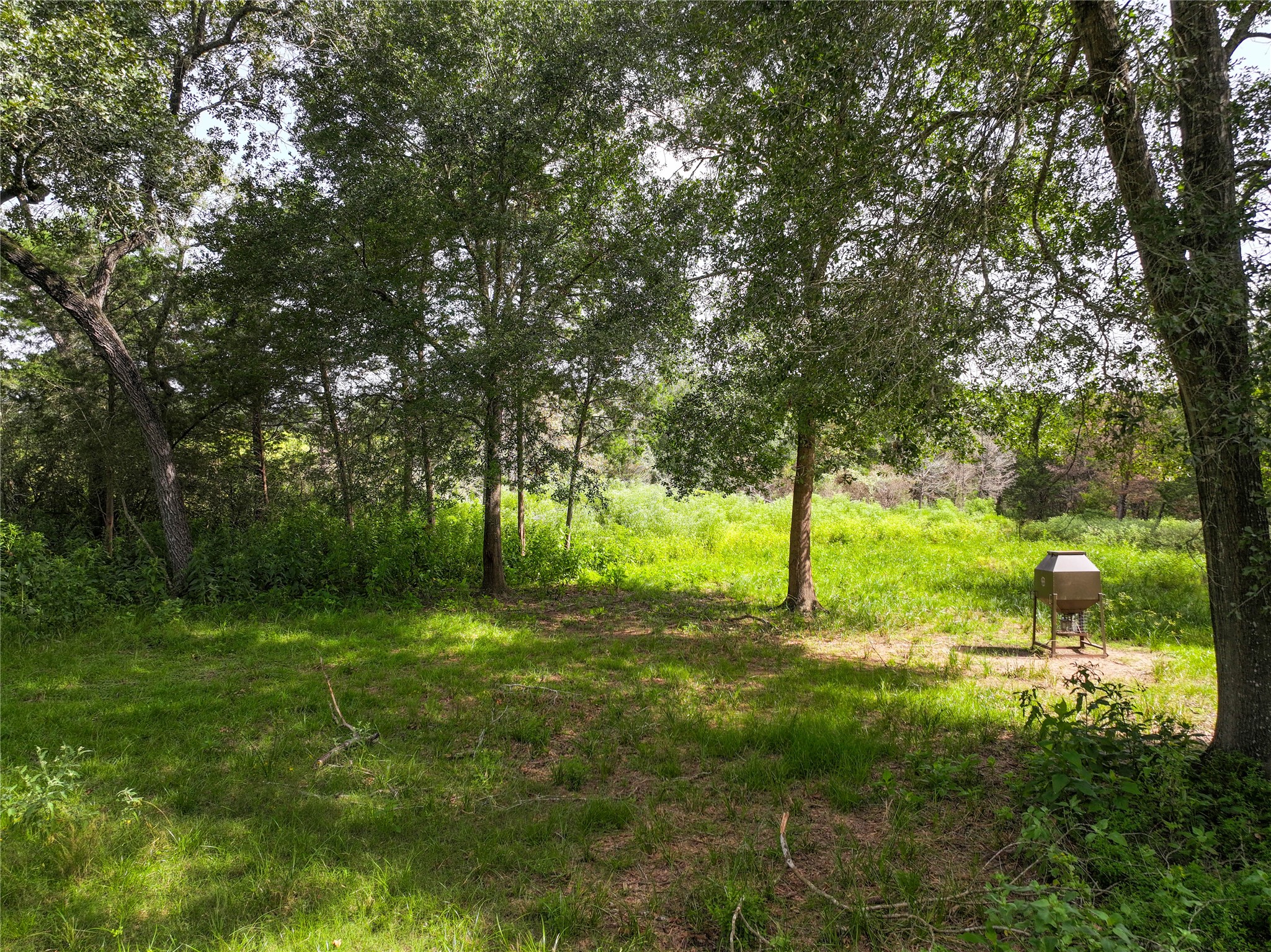 2274 Brunes Mill Road Property Photo 21