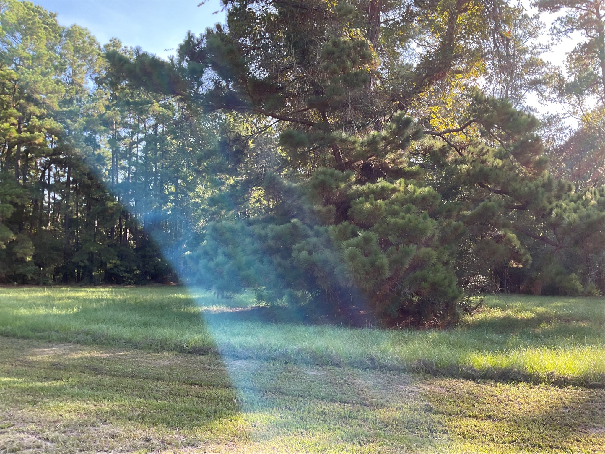20 Stones Edge Property Photo 6