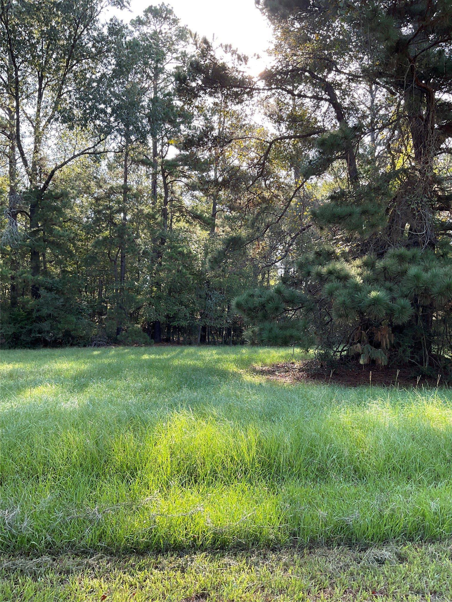 20 Stones Edge Property Photo 7