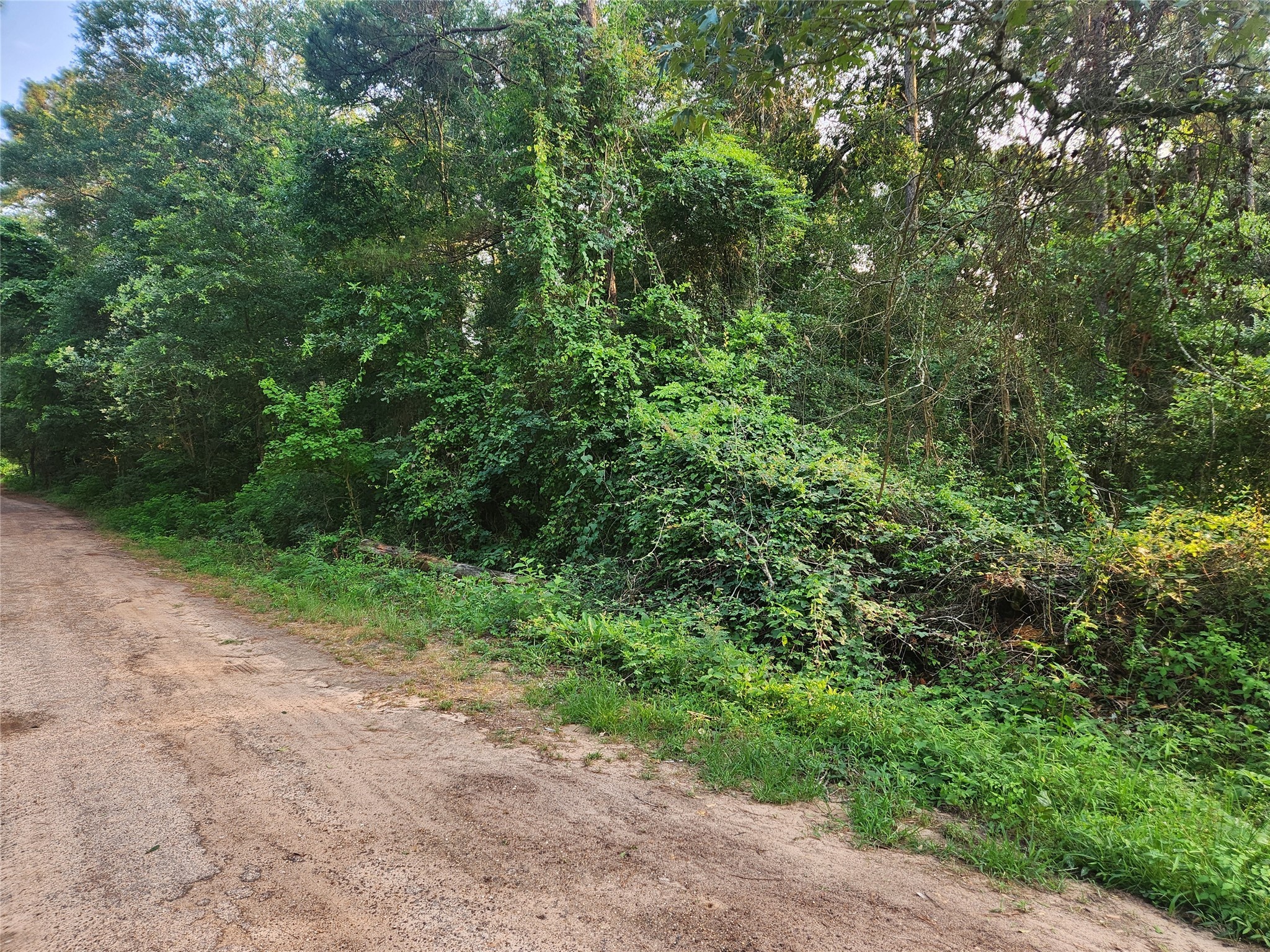 Lot 19 Mossyknoll Drive Property Photo 1