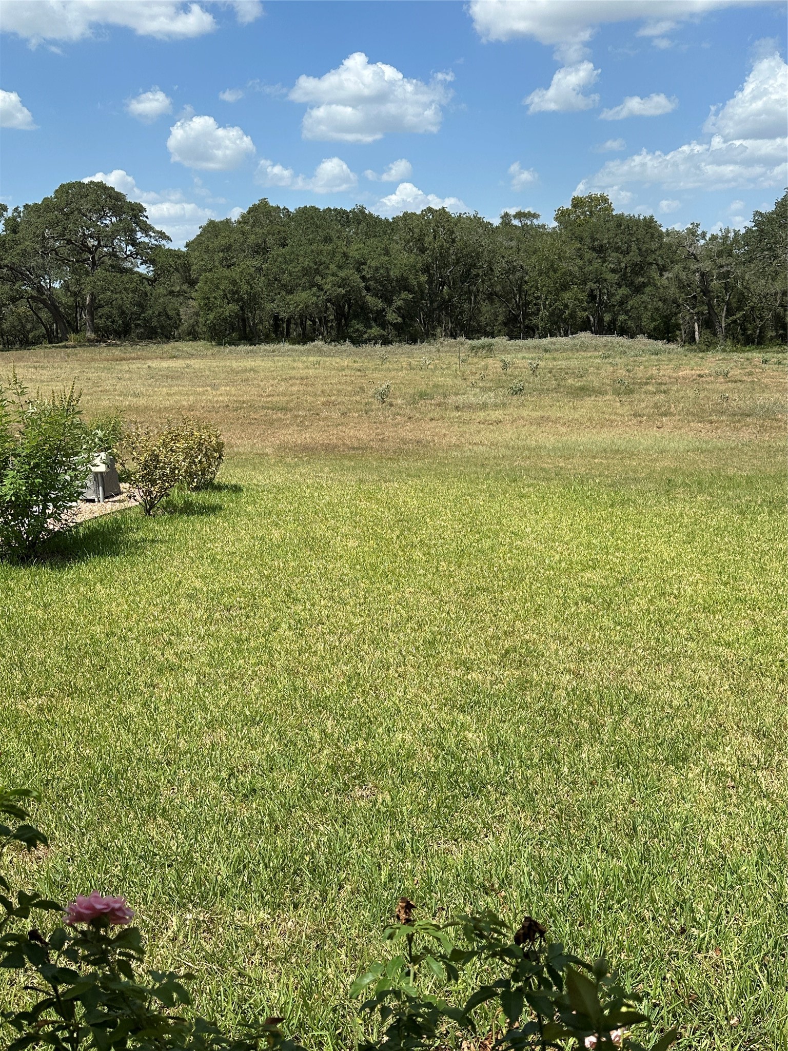 4149 Cr 444 Property Photo 42
