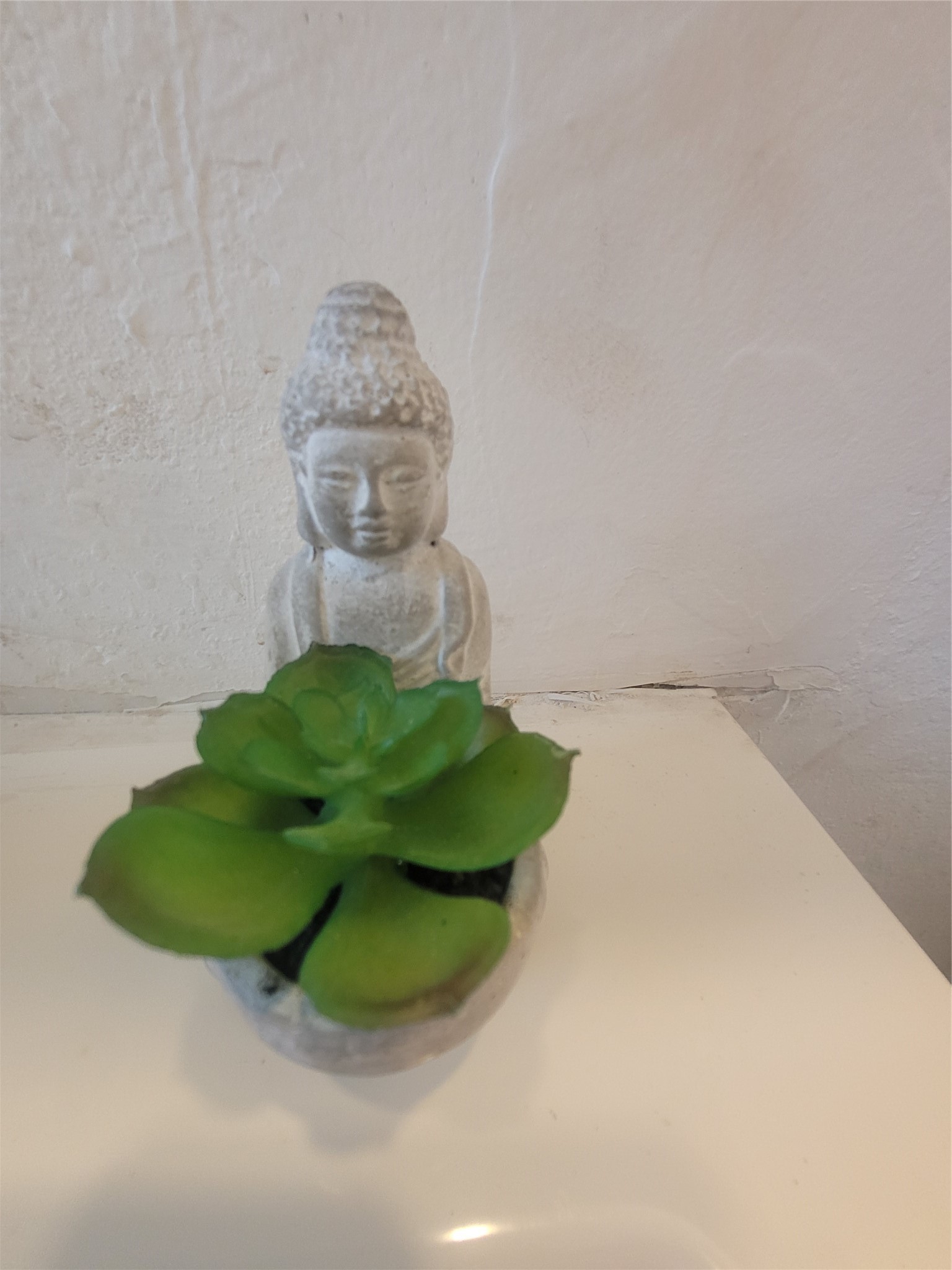 1415 Lombardy Street Property Photo 10