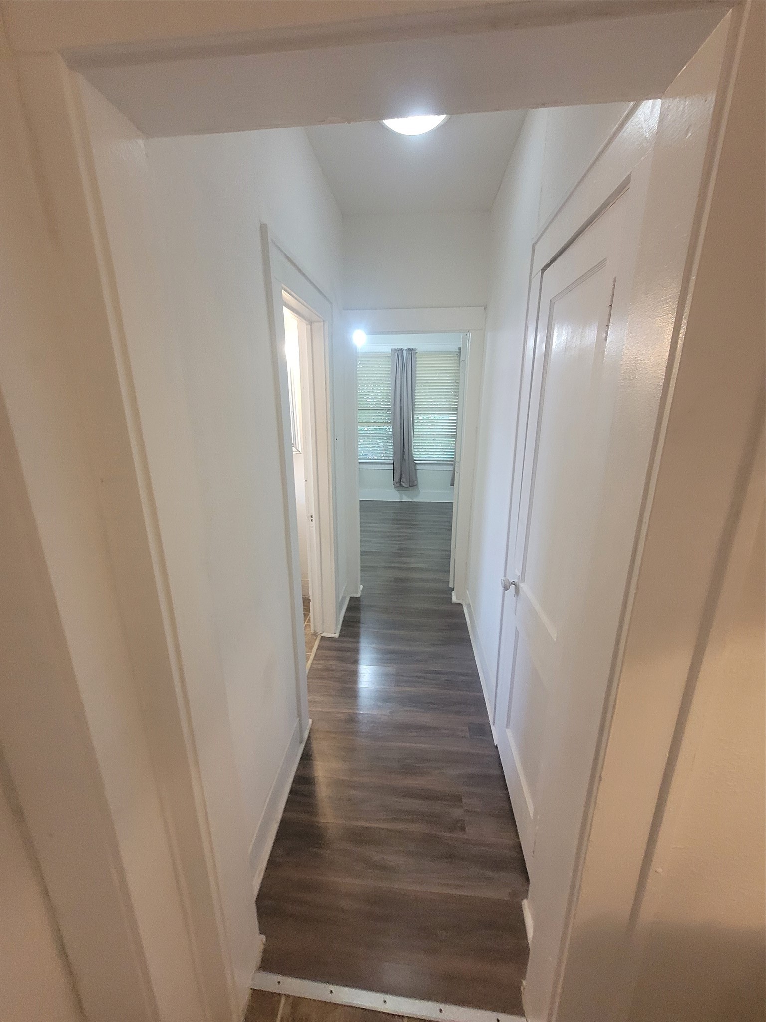 1415 Lombardy Street Property Photo 14