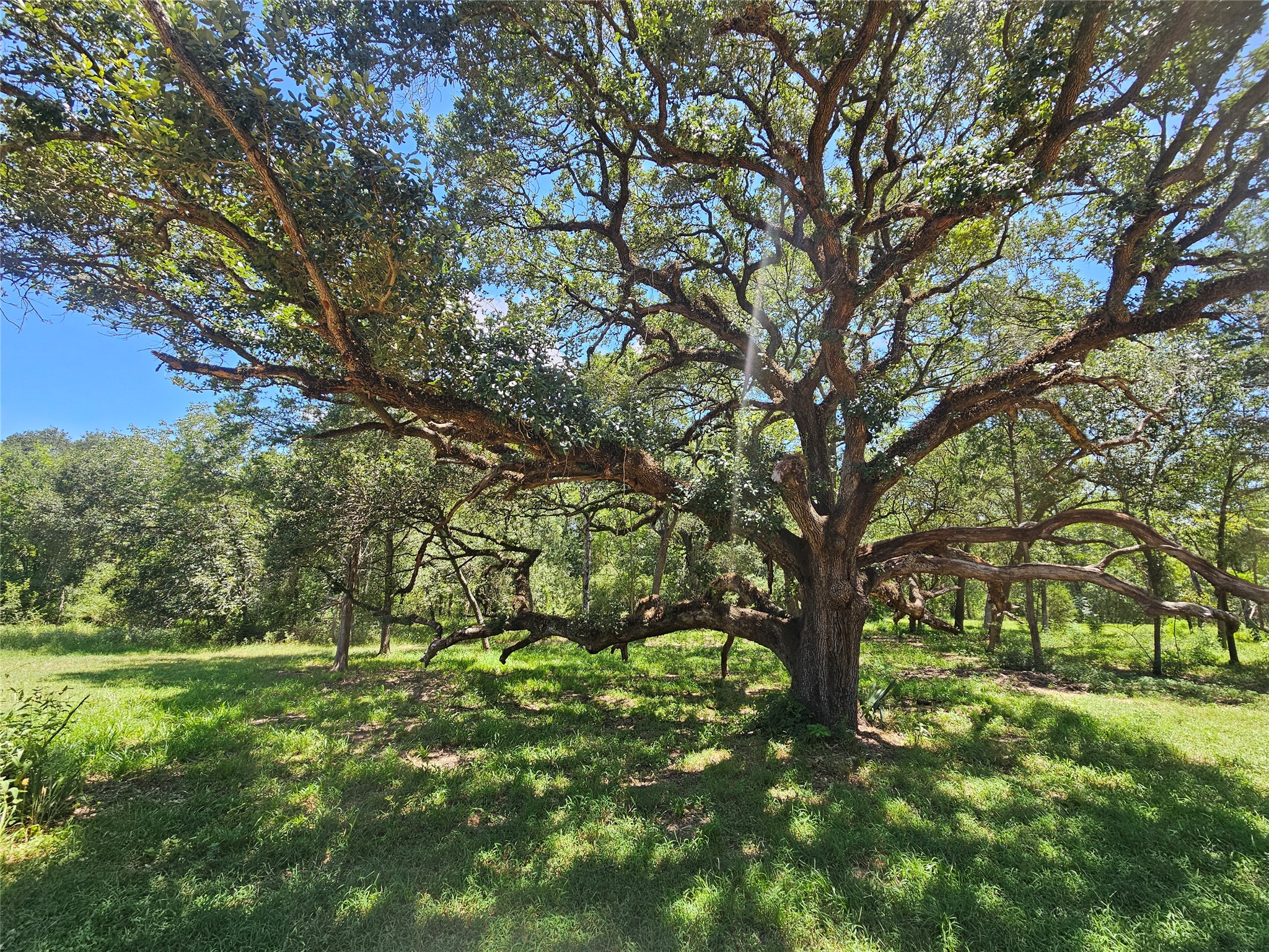 2980 S Ih 10 Property Photo 2