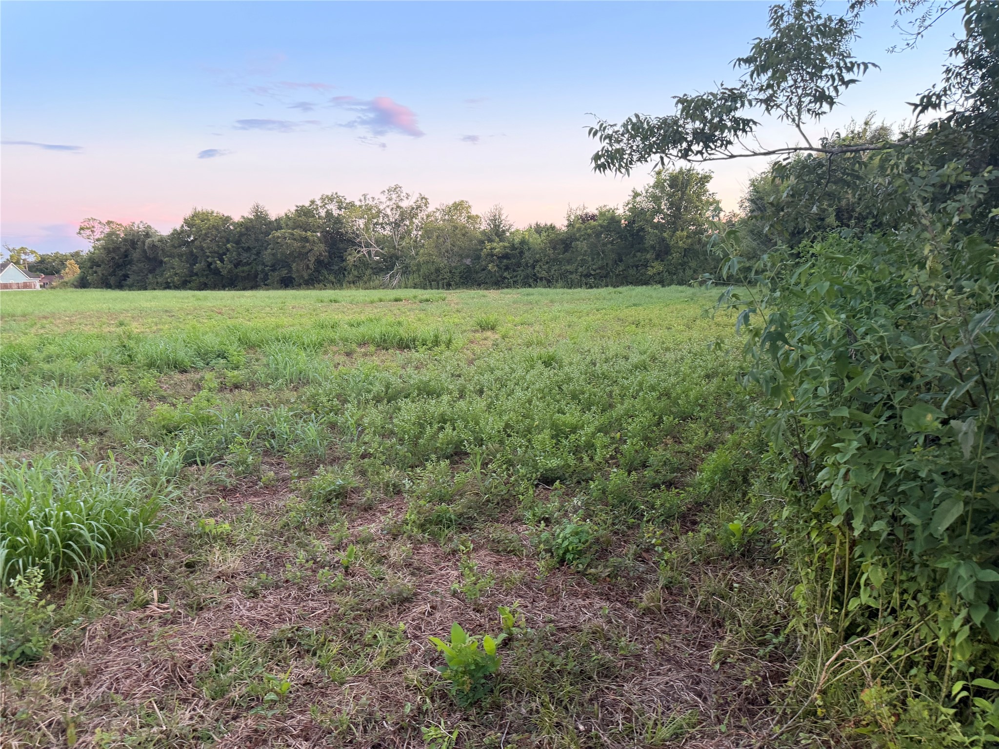 00 Fm 521 Property Photo 3