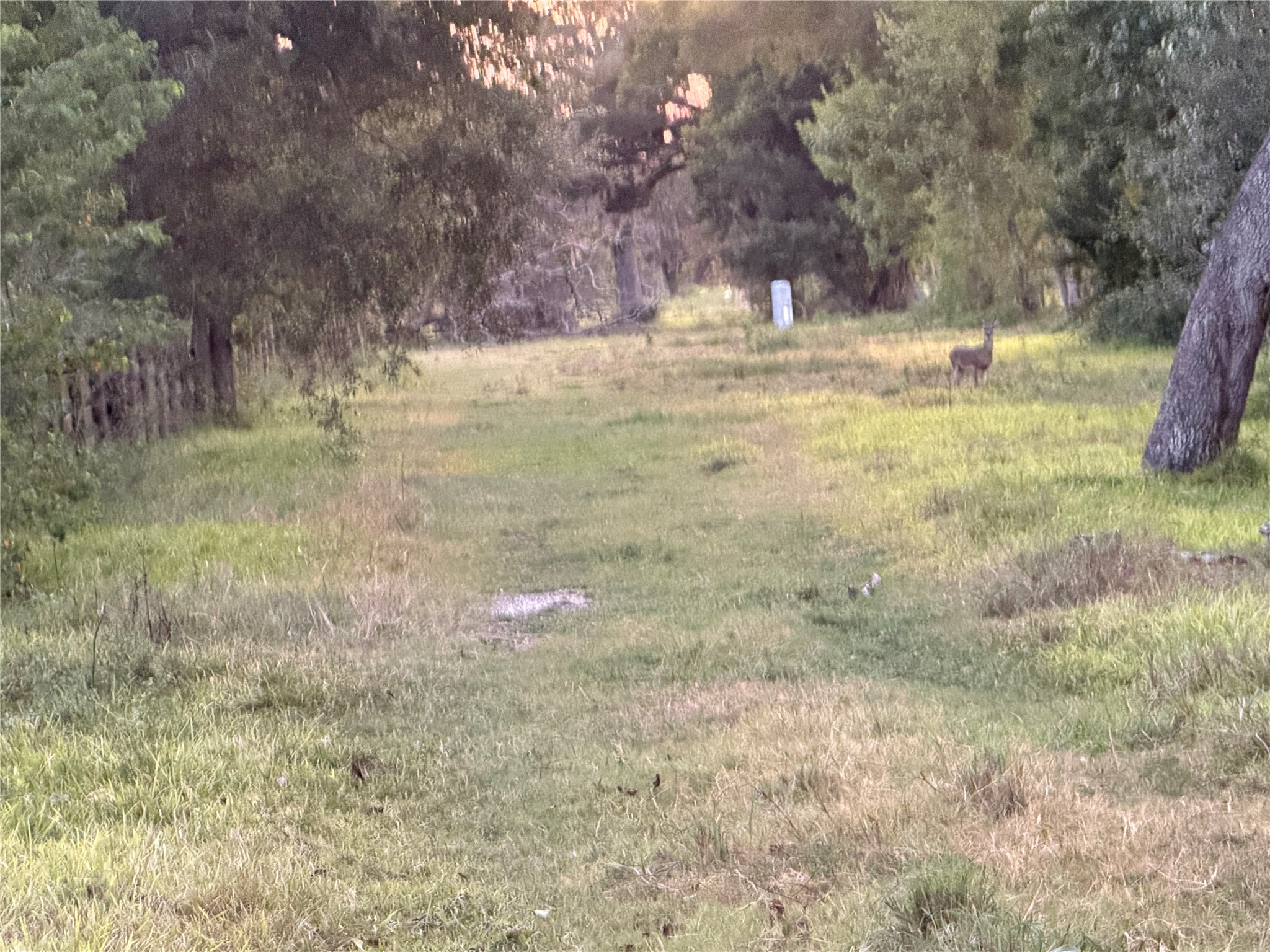 00 Fm 521 Property Photo 5