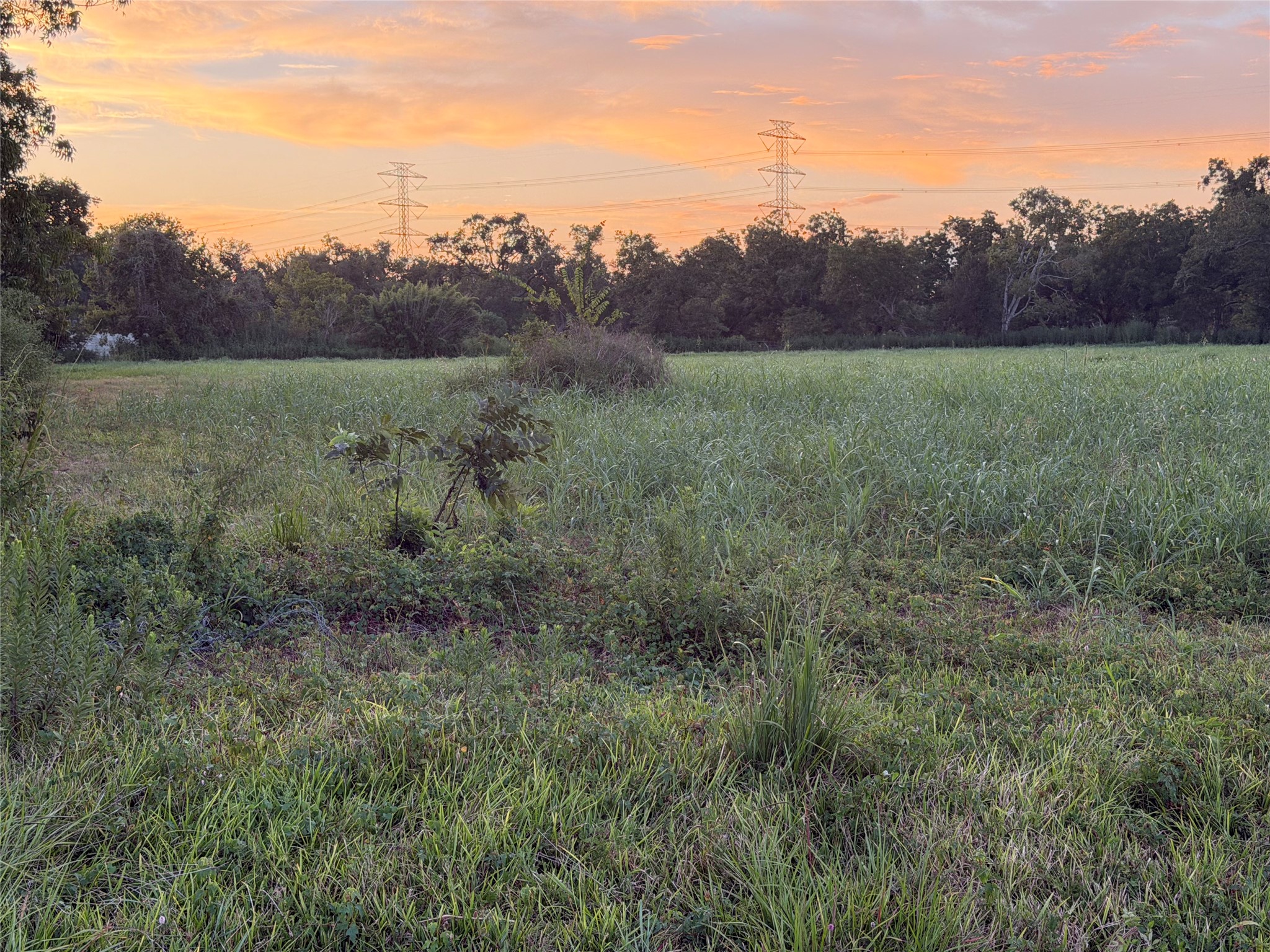 00 Fm 521 Property Photo 12