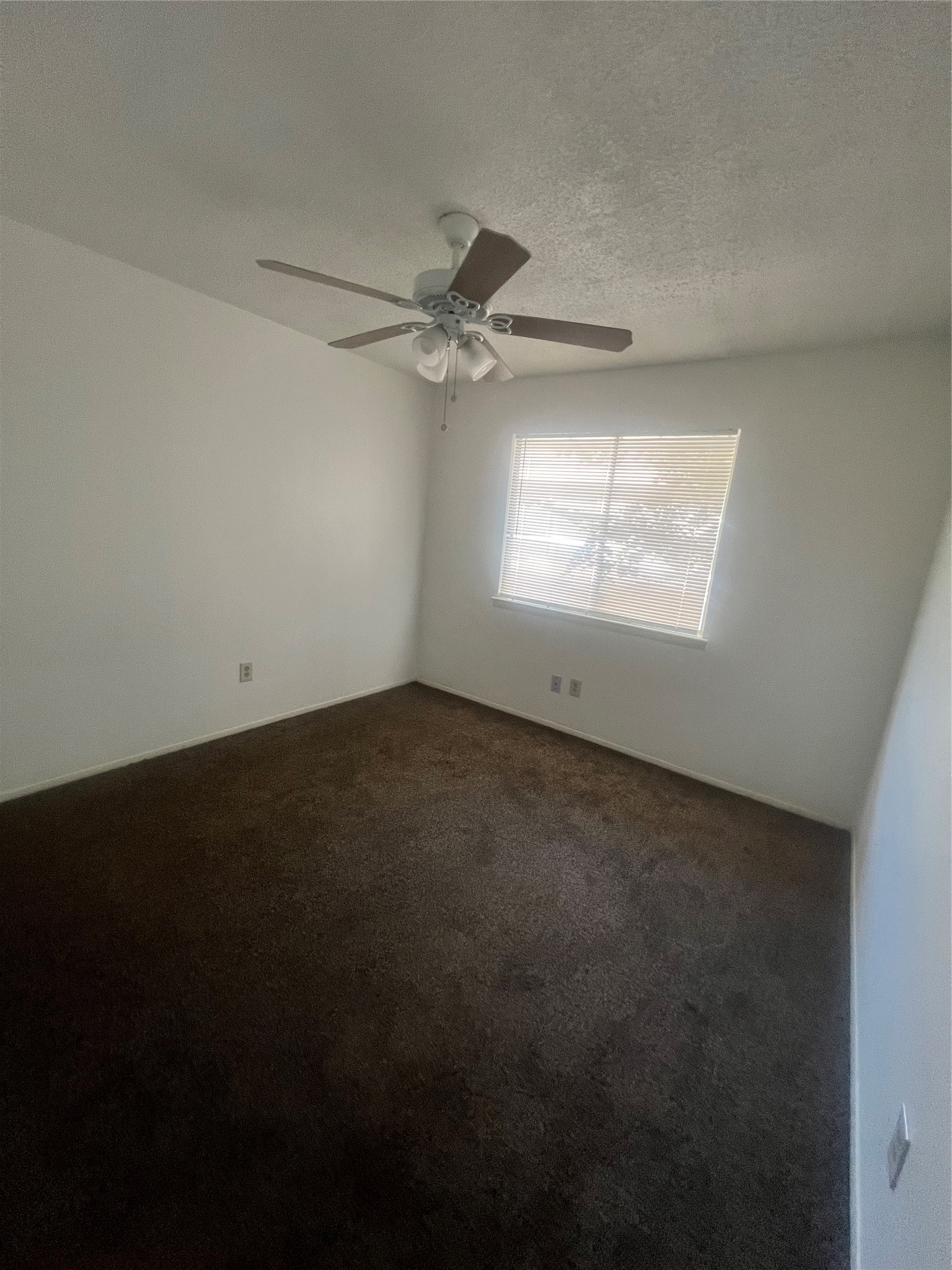 5670 Birchmont Drive C Property Photo 14