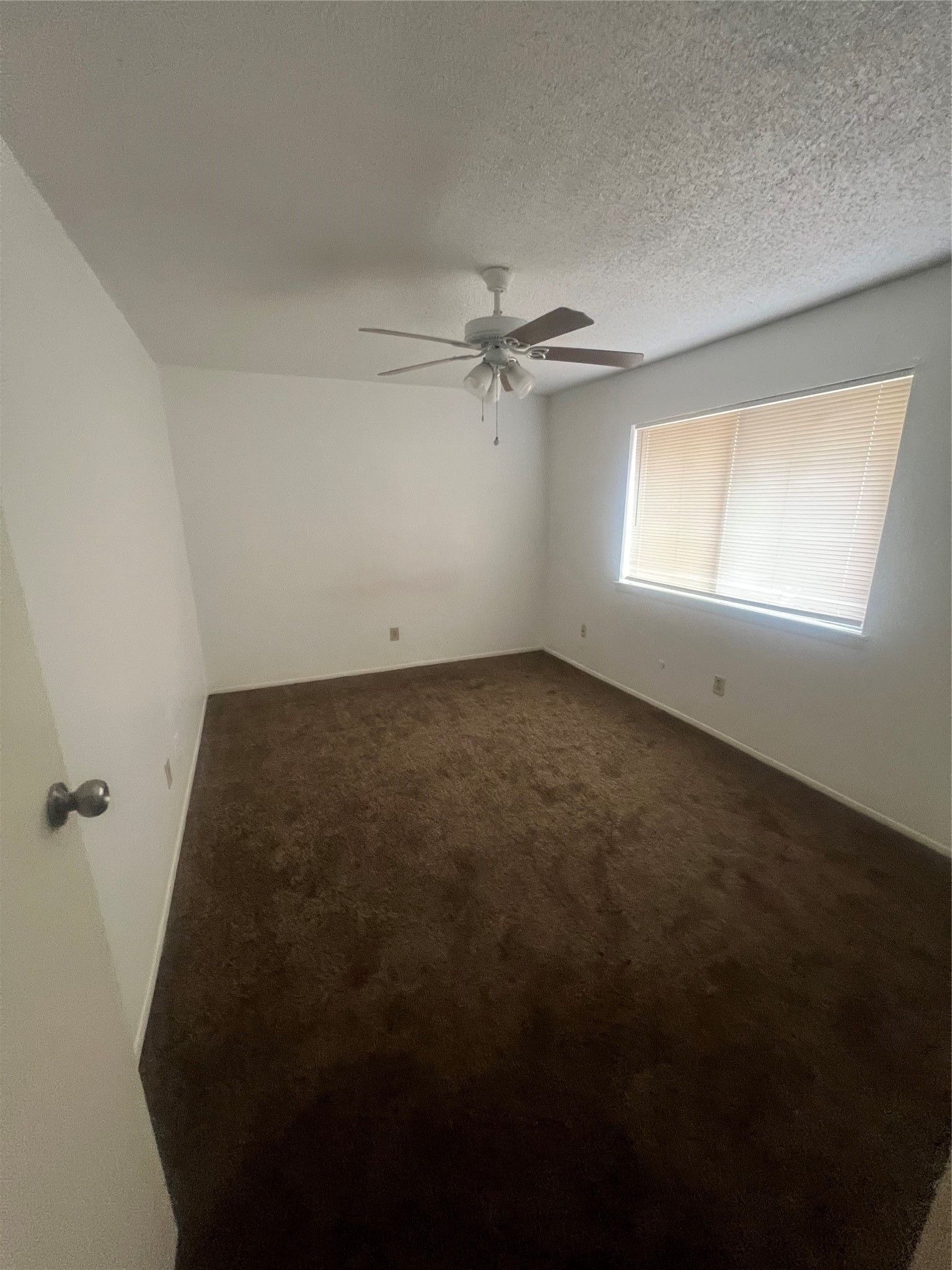 5670 Birchmont Drive C Property Photo 18