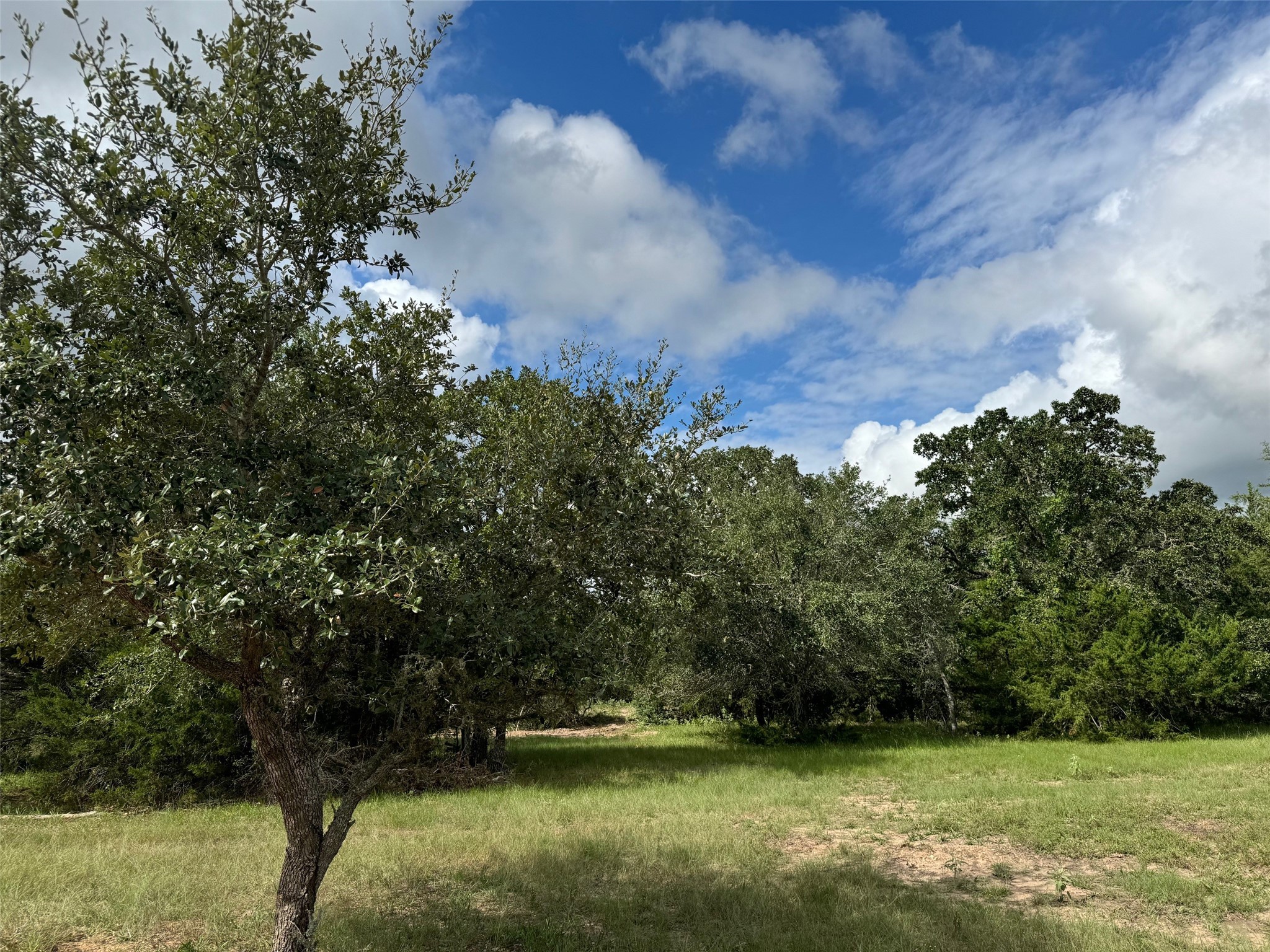 3817 Fm 154 Property Photo 6