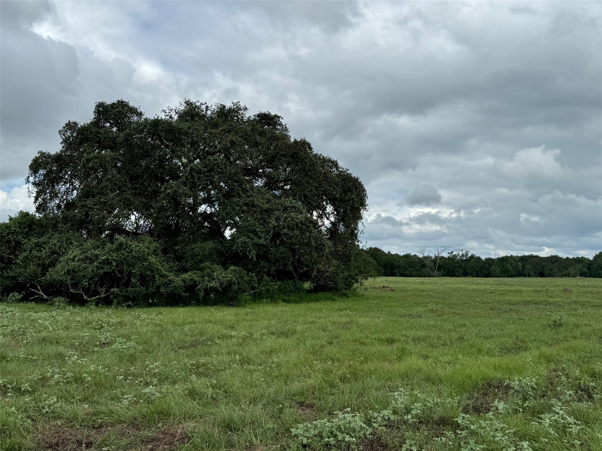 3817 Fm 154 Property Photo 11