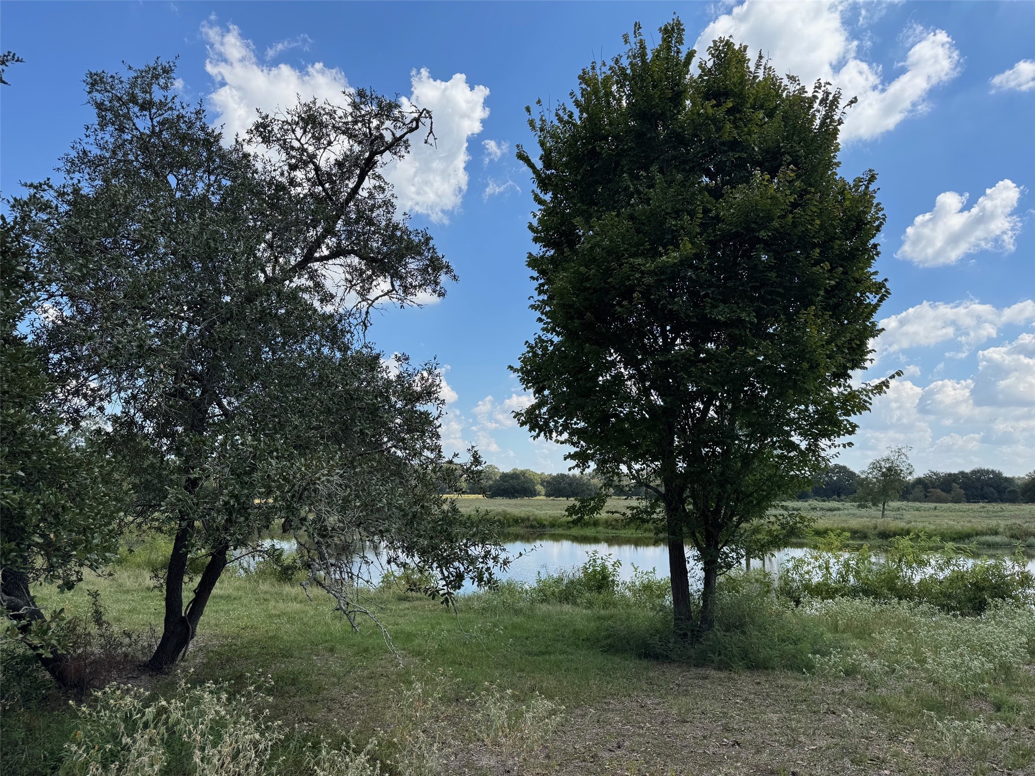 3817 Fm 154 Property Photo 14
