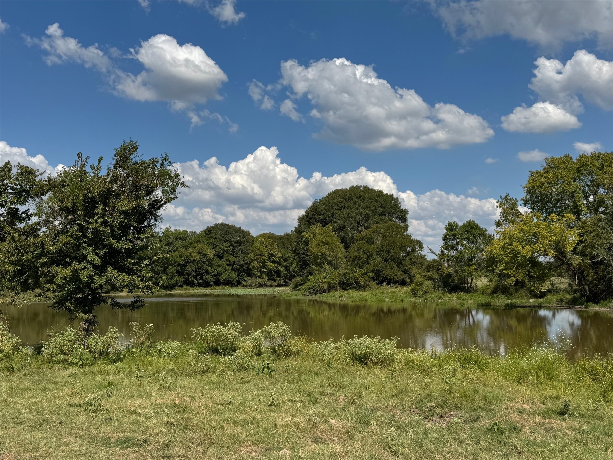 3817 Fm 154 Property Photo 17