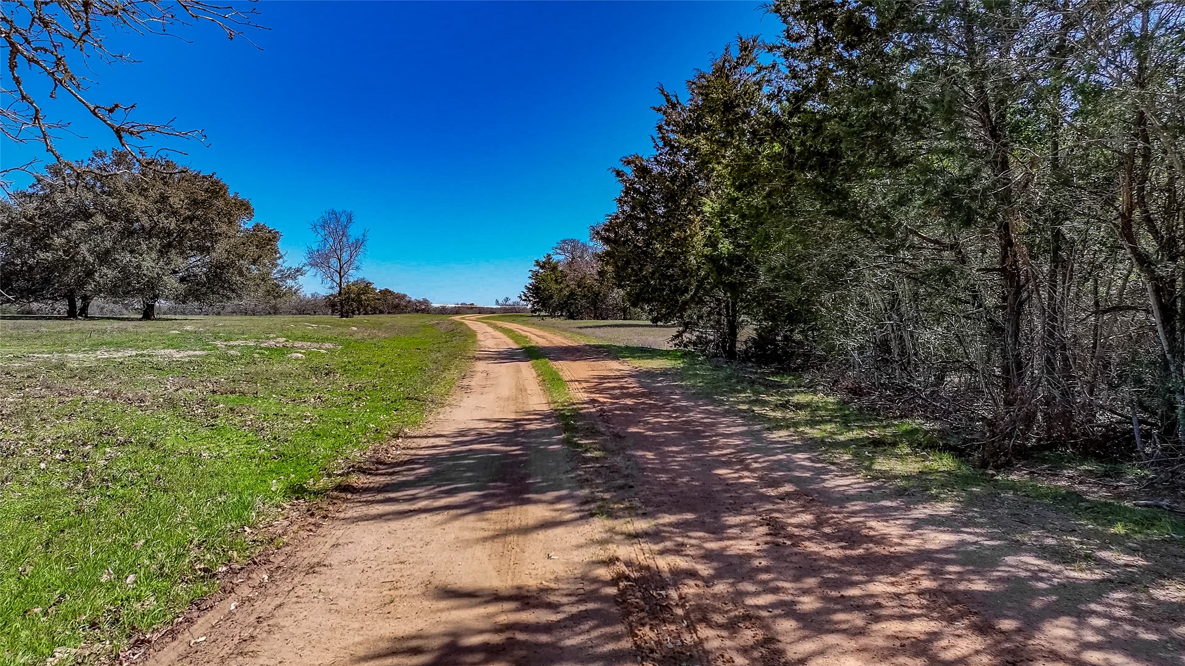 3817 Fm 154 Property Photo 20