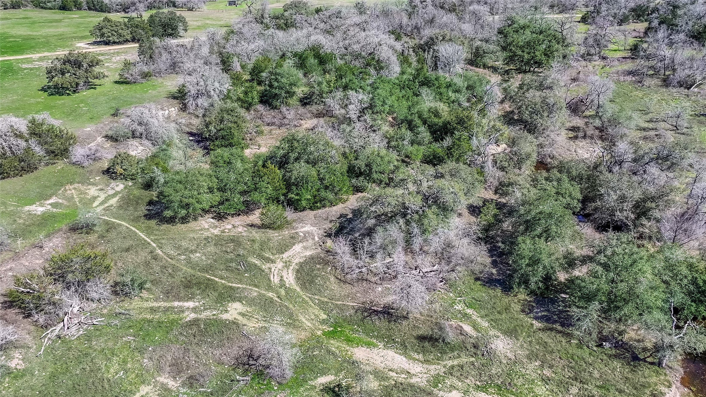 3817 Fm 154 Property Photo 29