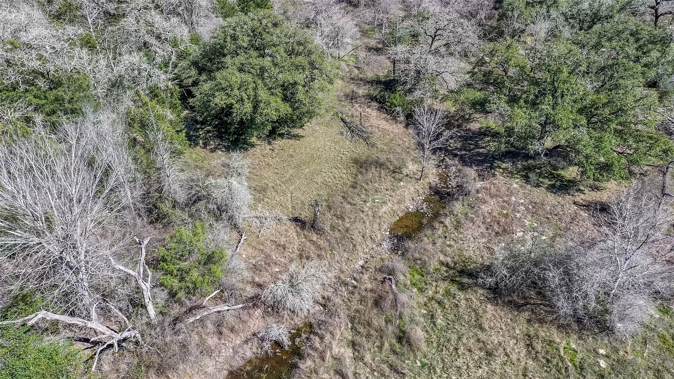 3817 Fm 154 Property Photo 30