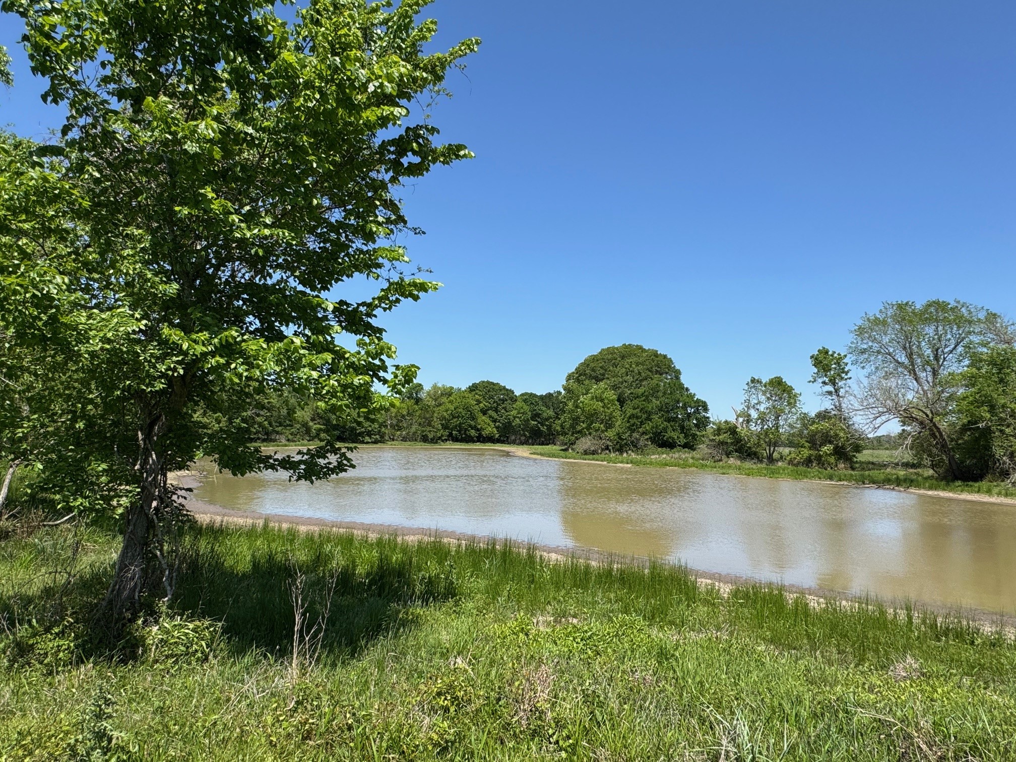 3817 Fm 154 Property Photo 34