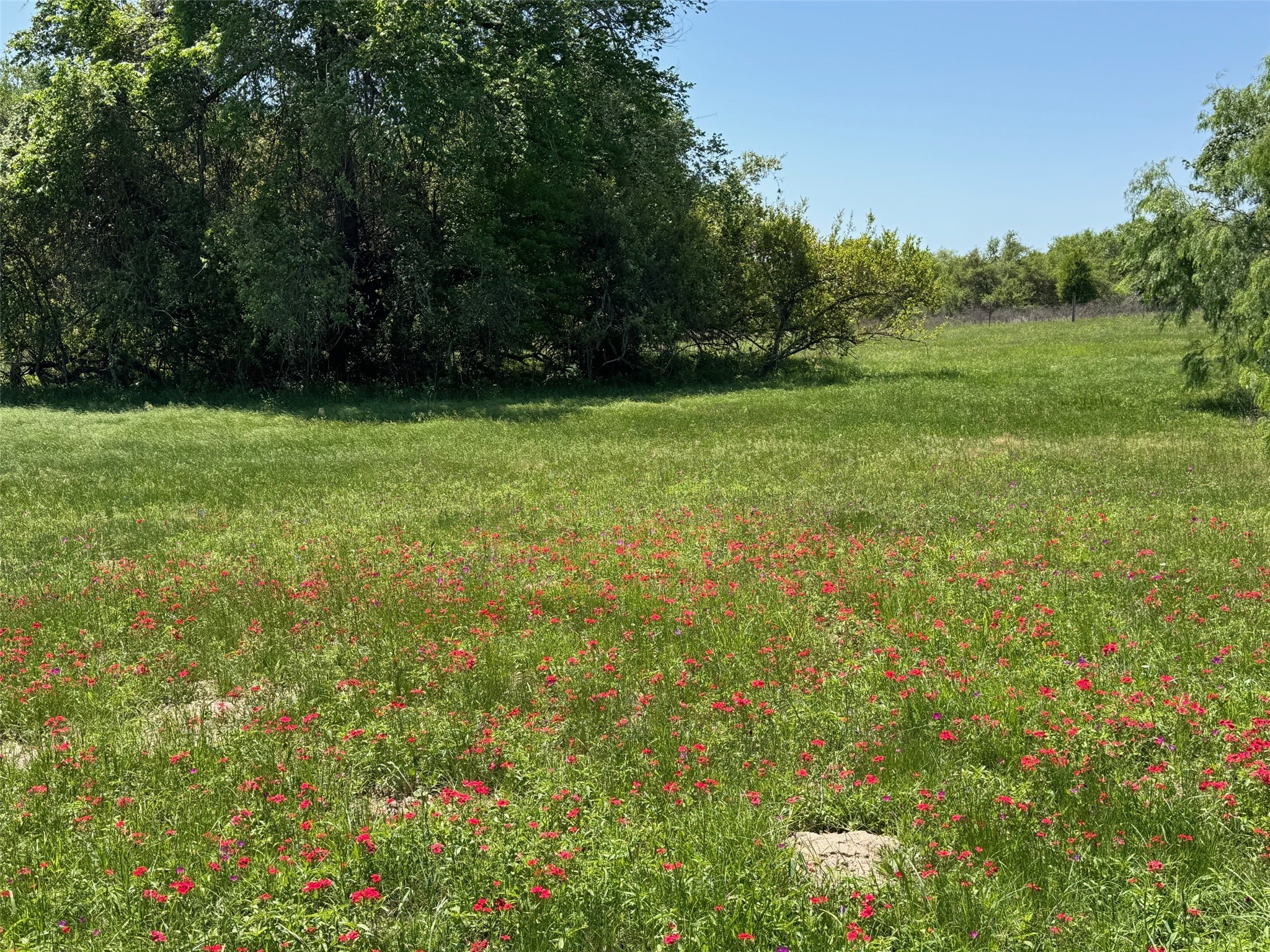 3817 Fm 154 Property Photo 35
