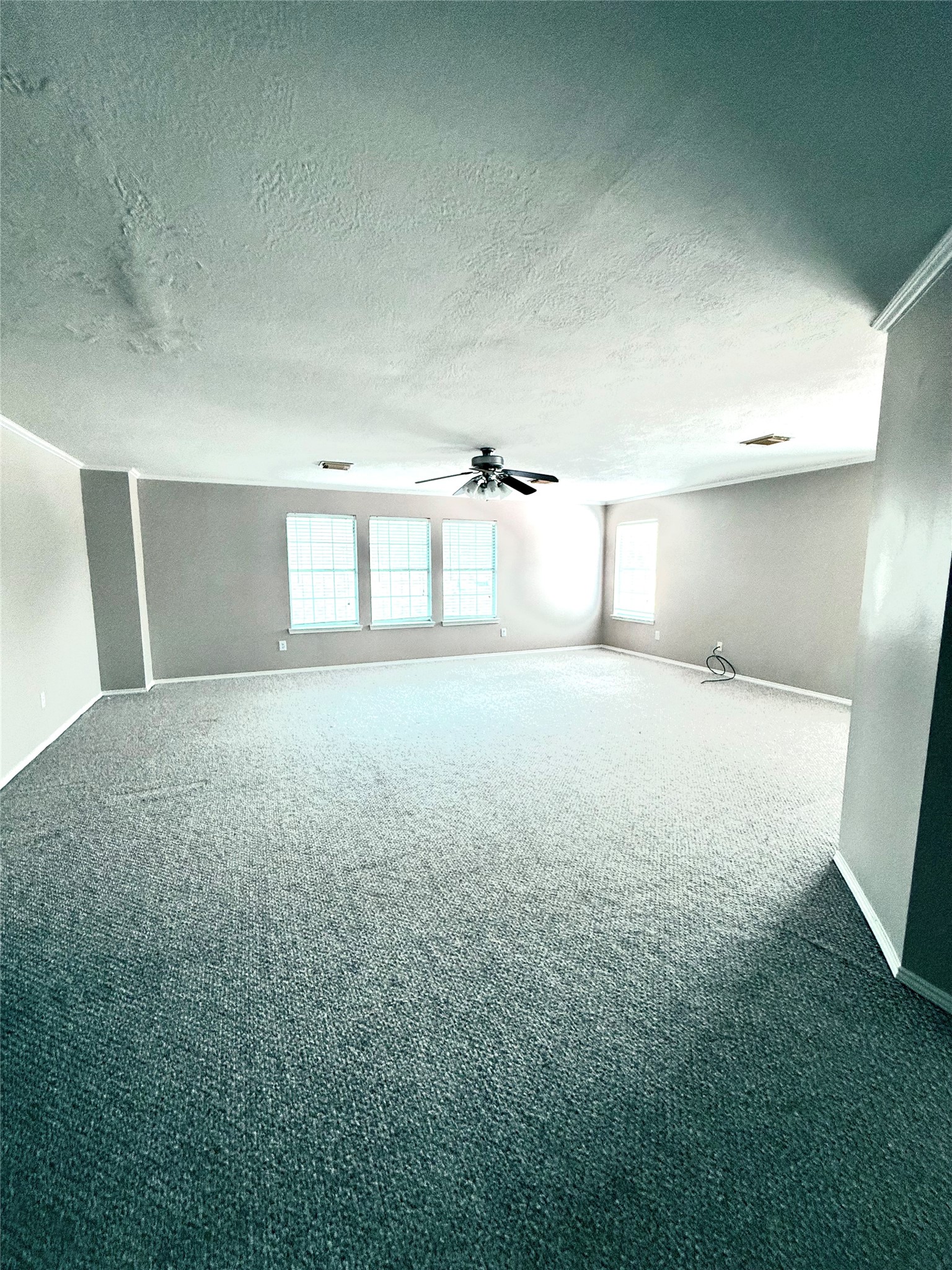 21119 Brae Point Court Property Photo 16