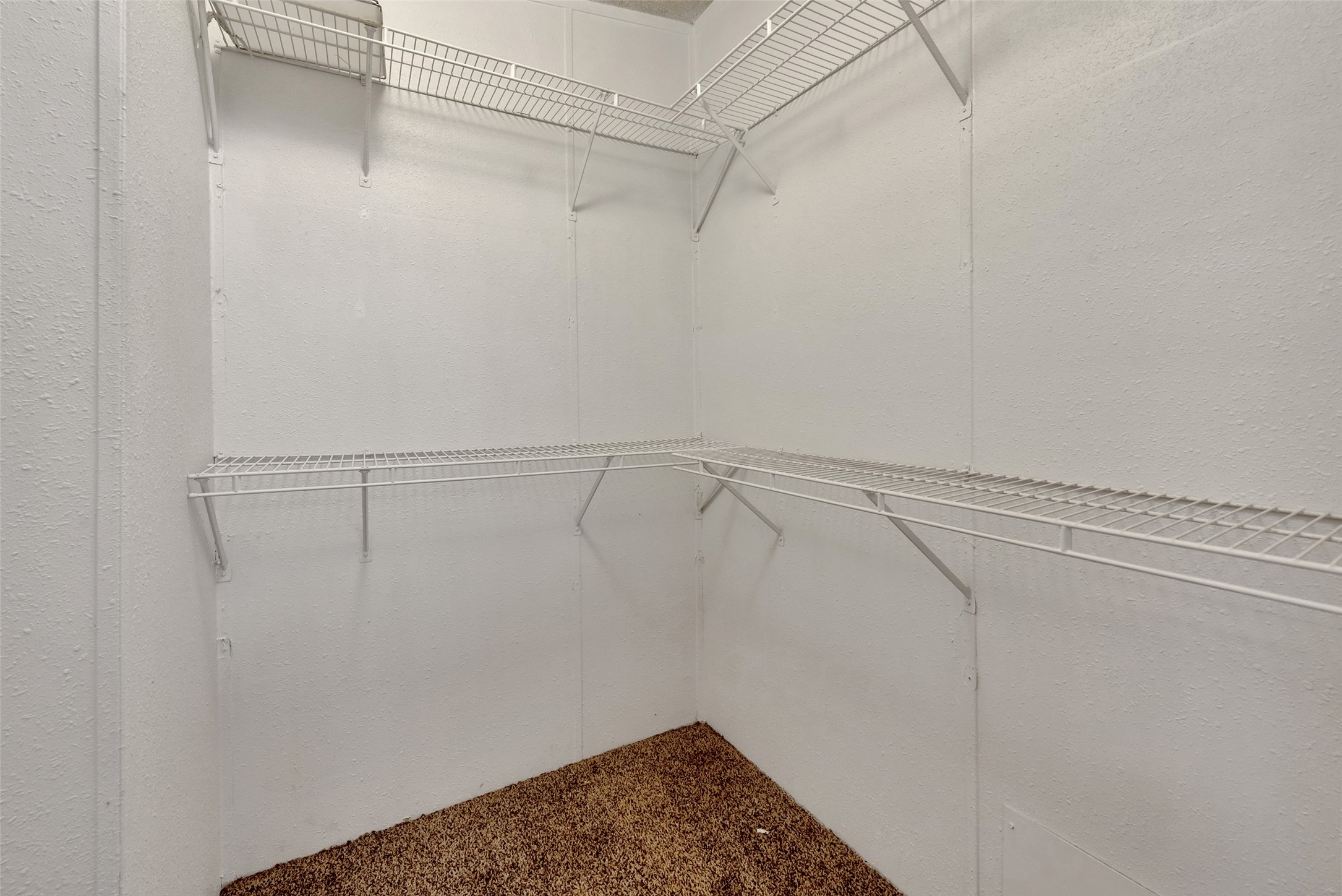 2218 Hintz Road Property Photo 25