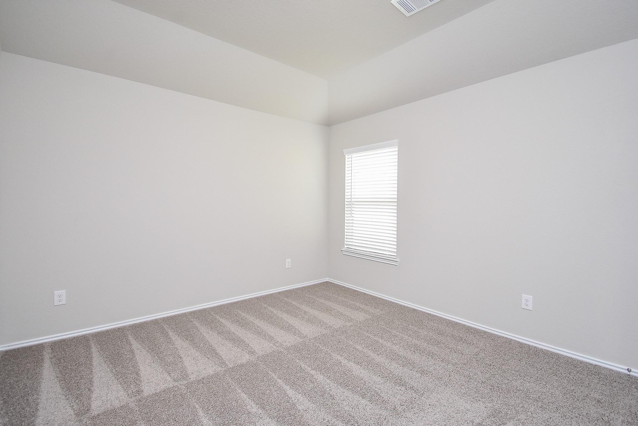 8006 Camphor Court Property Photo 14