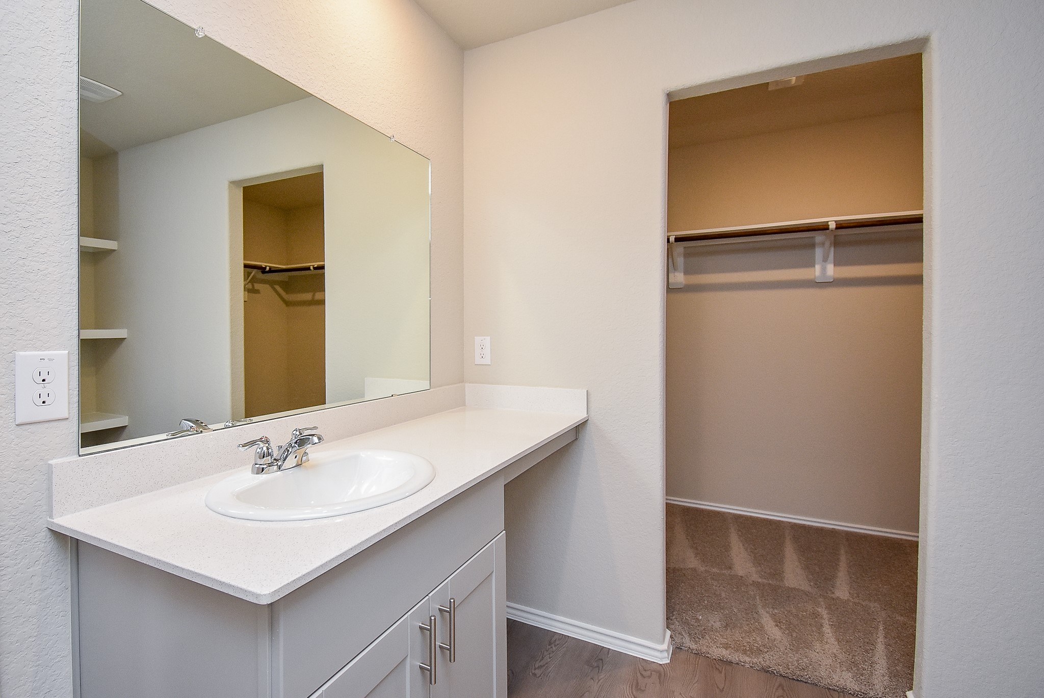 8006 Camphor Court Property Photo 17