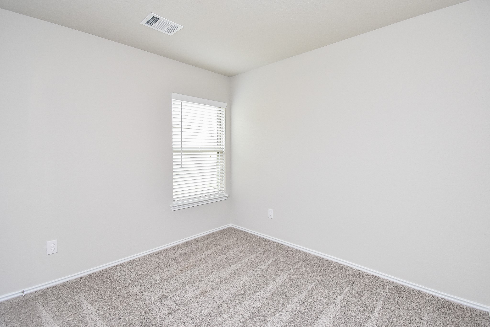 8006 Camphor Court Property Photo 19
