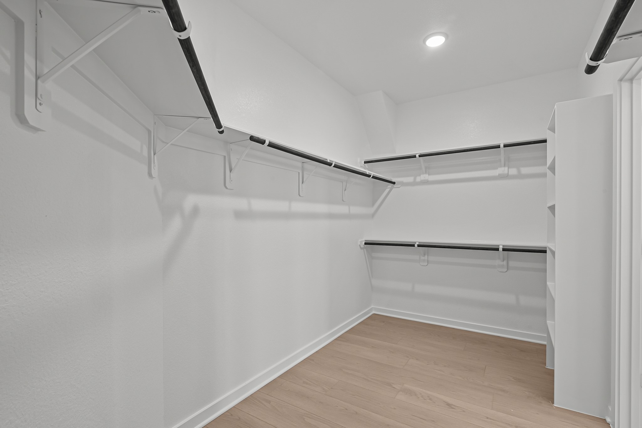 3010 Blue Abelia Street Property Photo 31