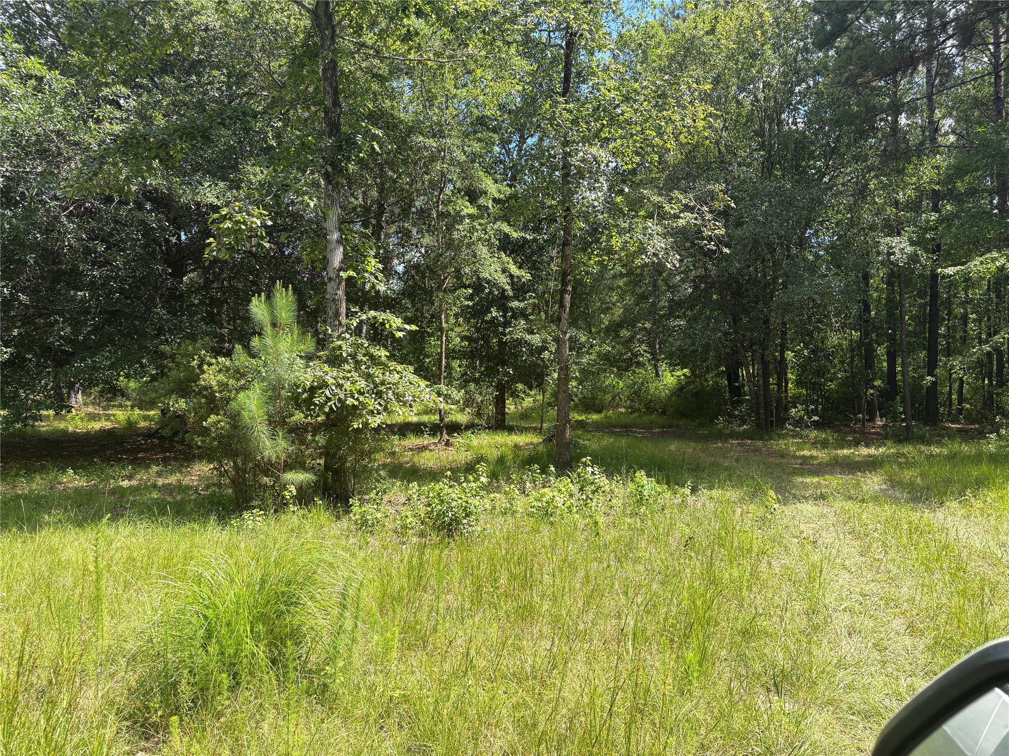 3133 County Road 4525 Property Photo 2