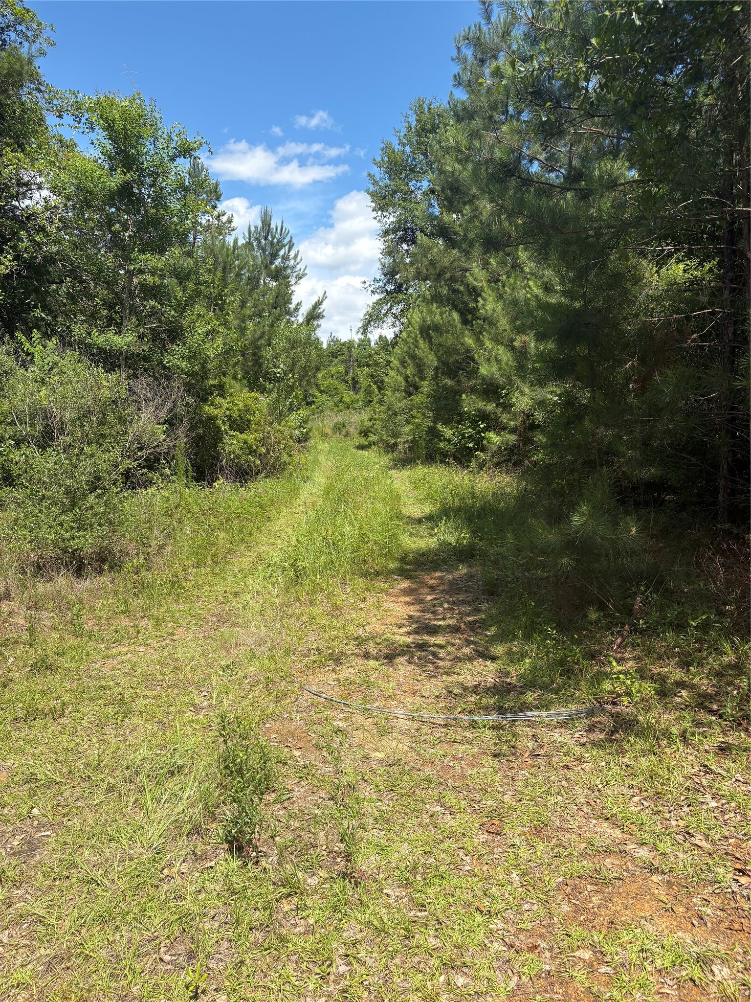 3133 County Road 4525 Property Photo 6