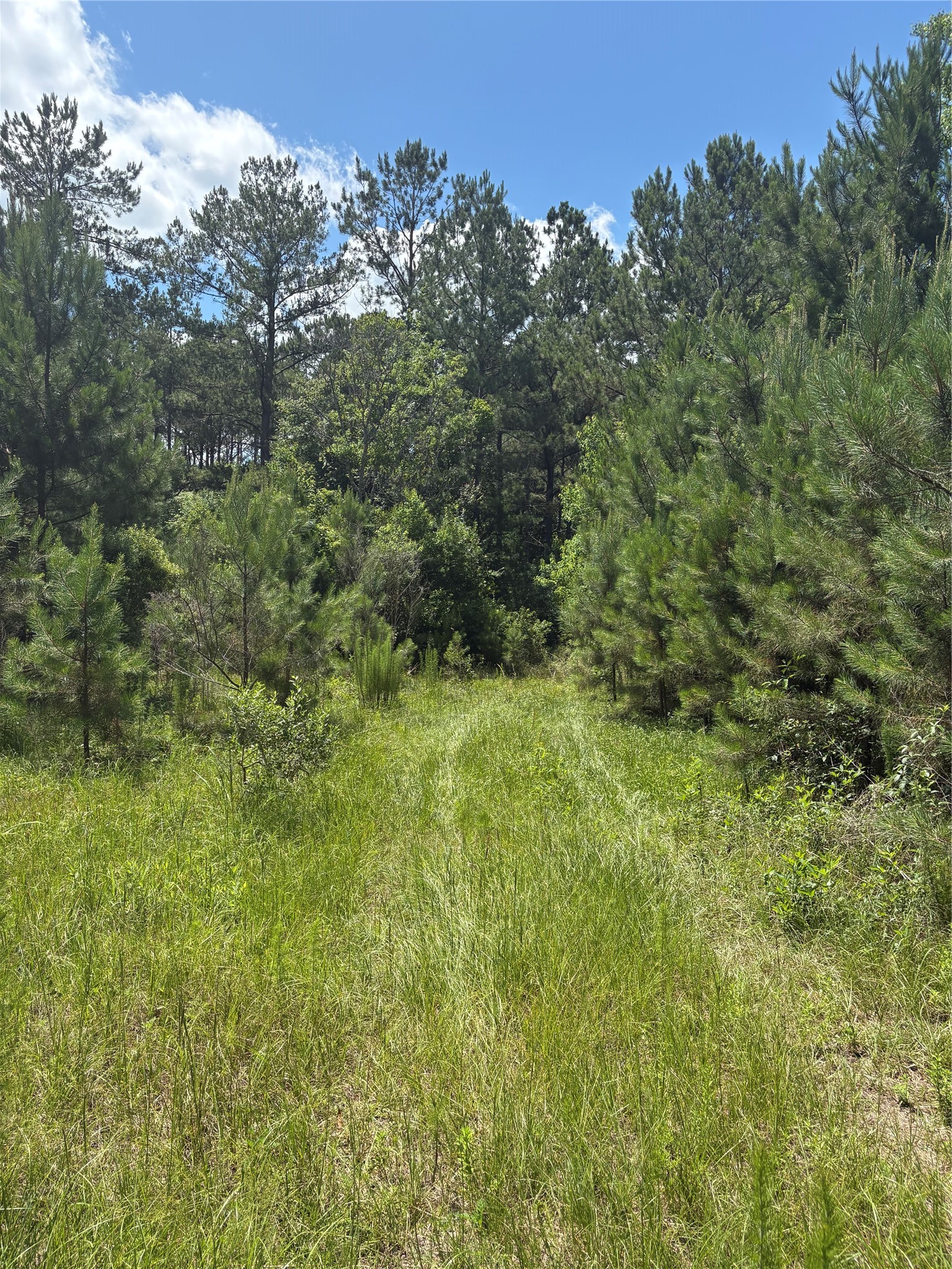 3133 County Road 4525 Property Photo 8