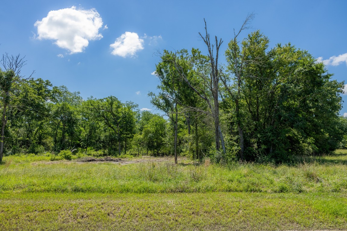 10649 Brushwood Cutoff Property Photo 1