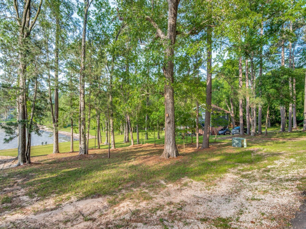 Tbd Lakeshore Drive Property Photo 11