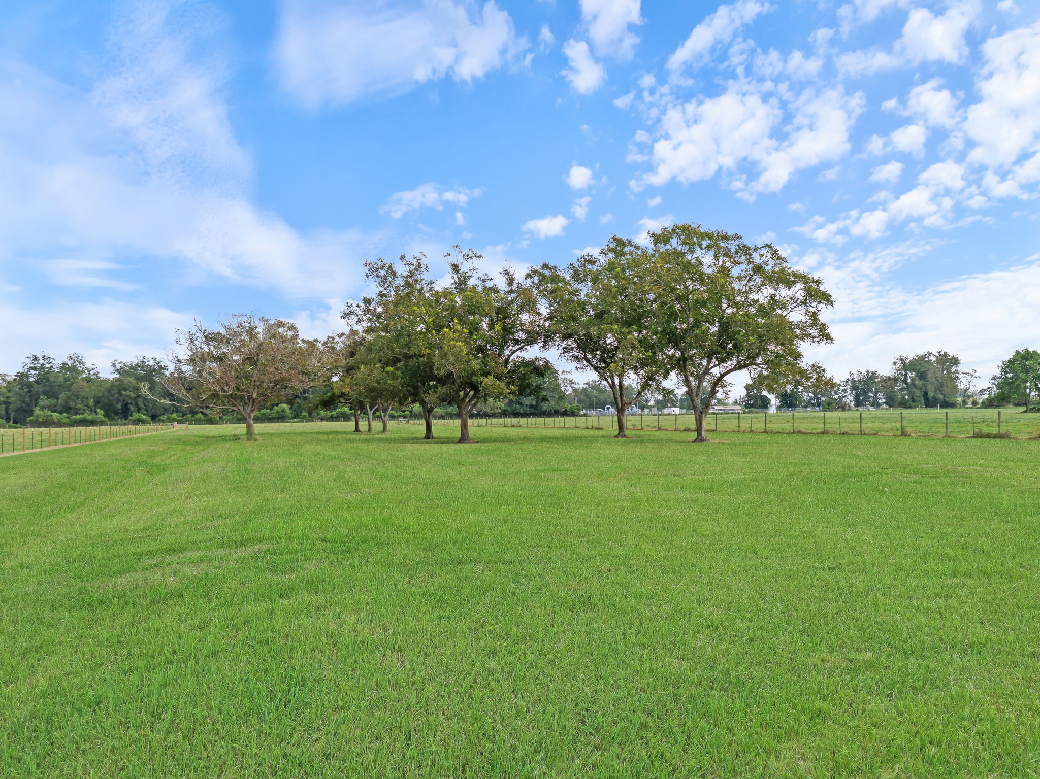 1128 County Road 117 Property Photo 21