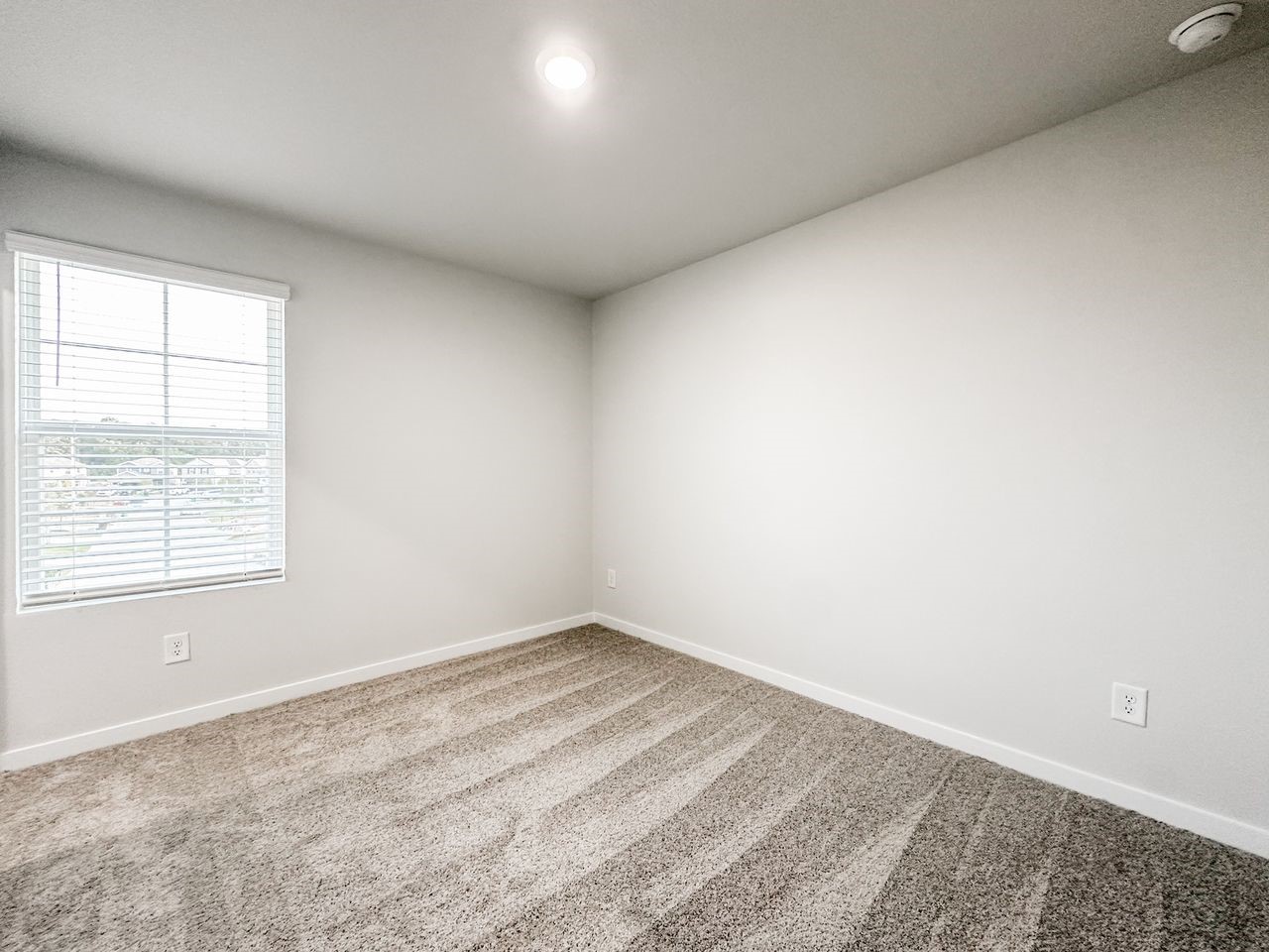 7934 Alset Dr Property Photo 16