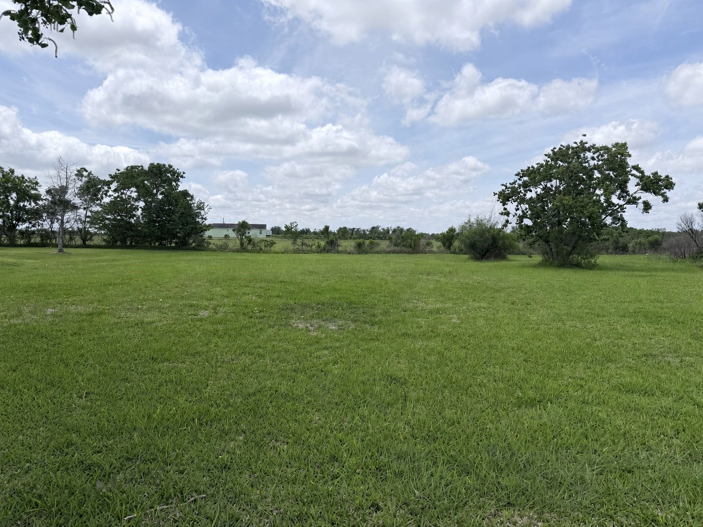 Lots 5,6 Bastrop Street Property Photo 1