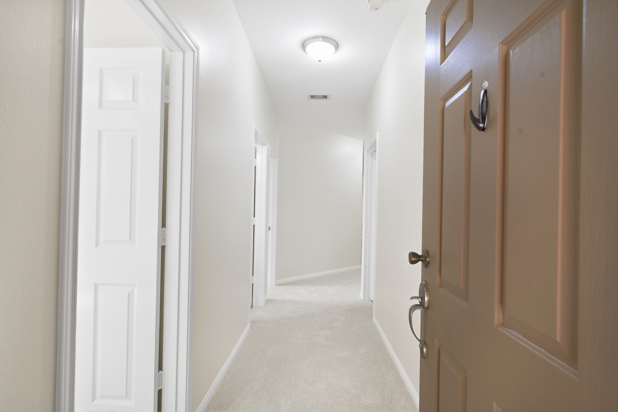 9834 Opal Rock Drive Property Photo 3