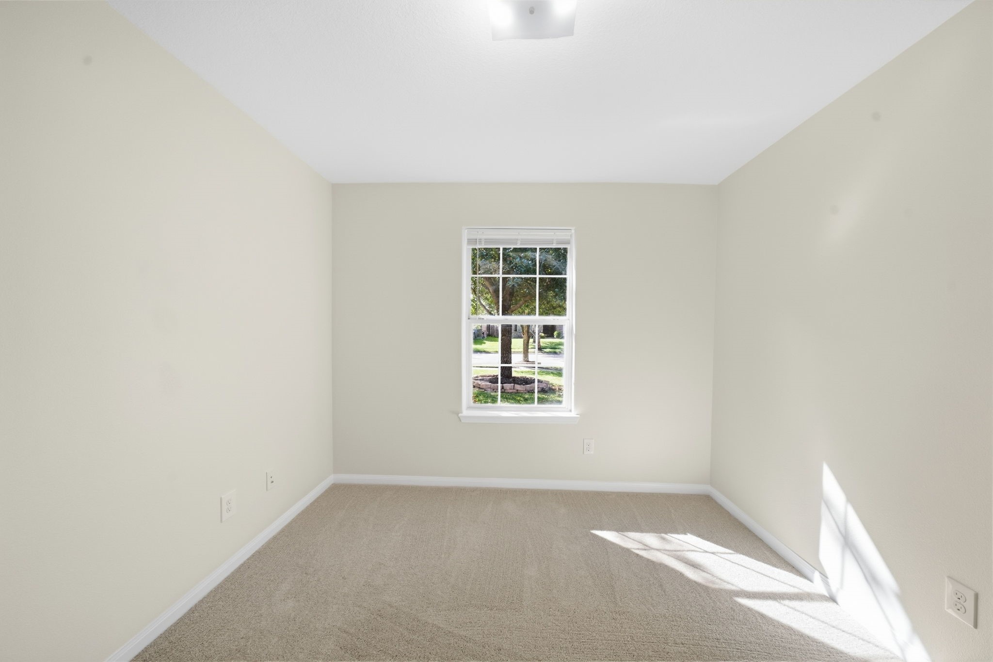 9834 Opal Rock Drive Property Photo 13