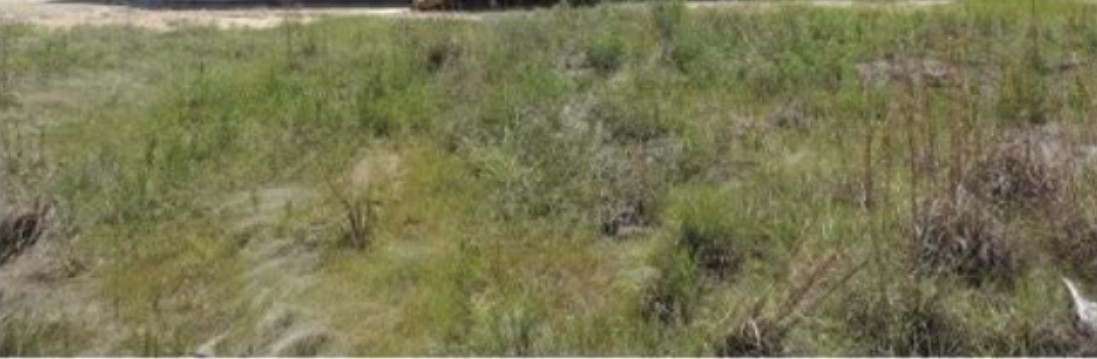 1540 Road 5860 Property Photo 4