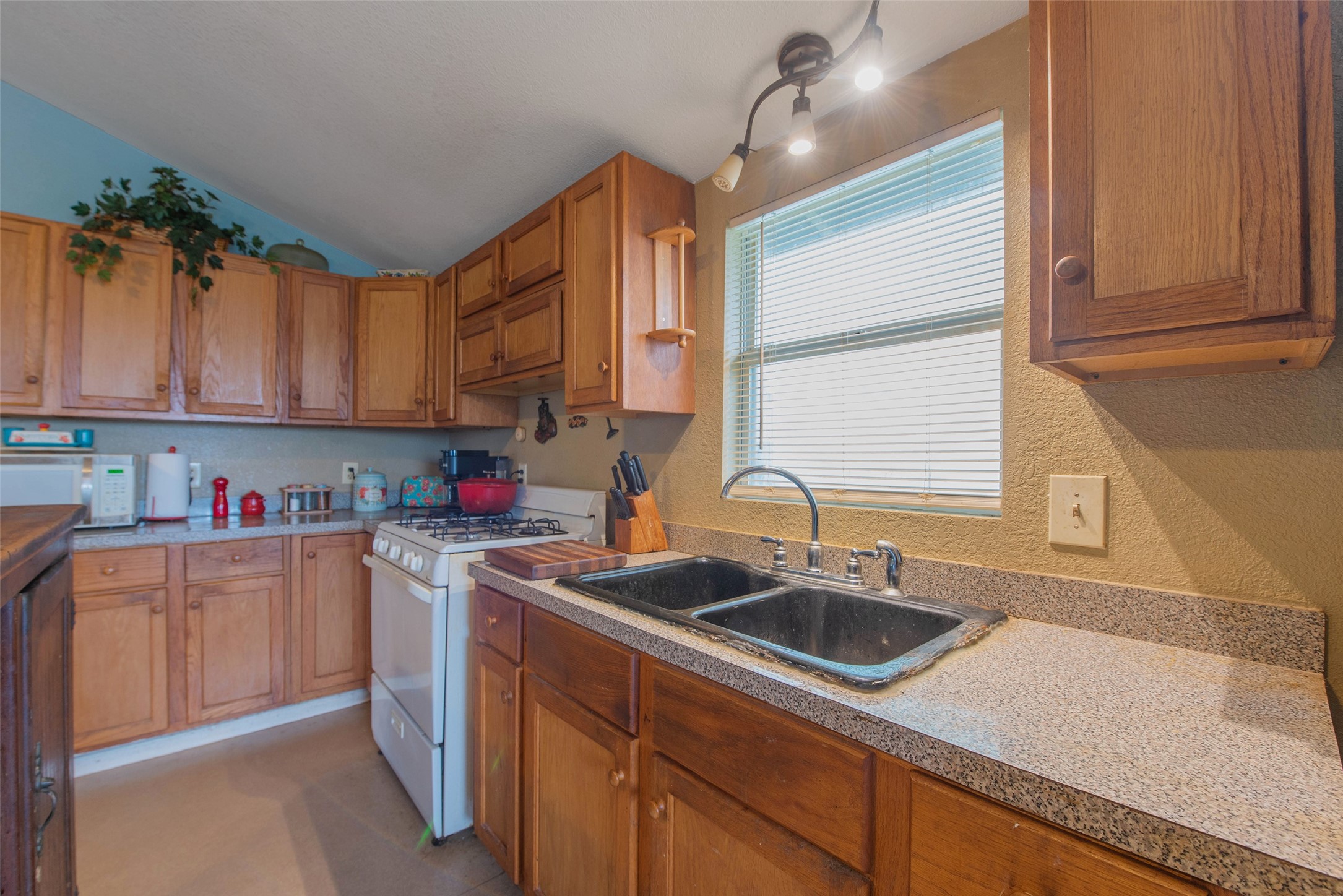 7030 Terrasso Drive Property Photo 15