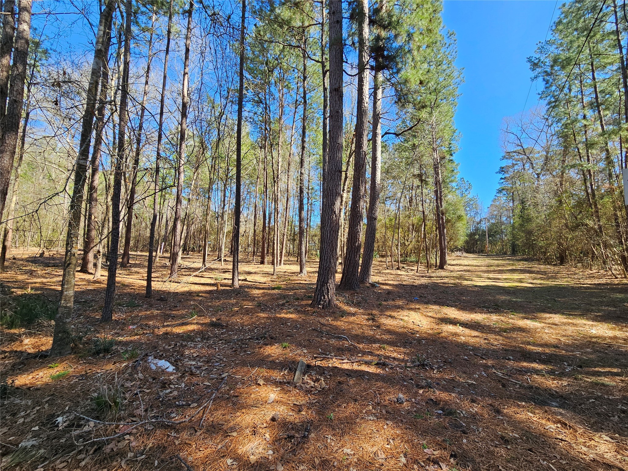 0 Reedwood Property Photo 1