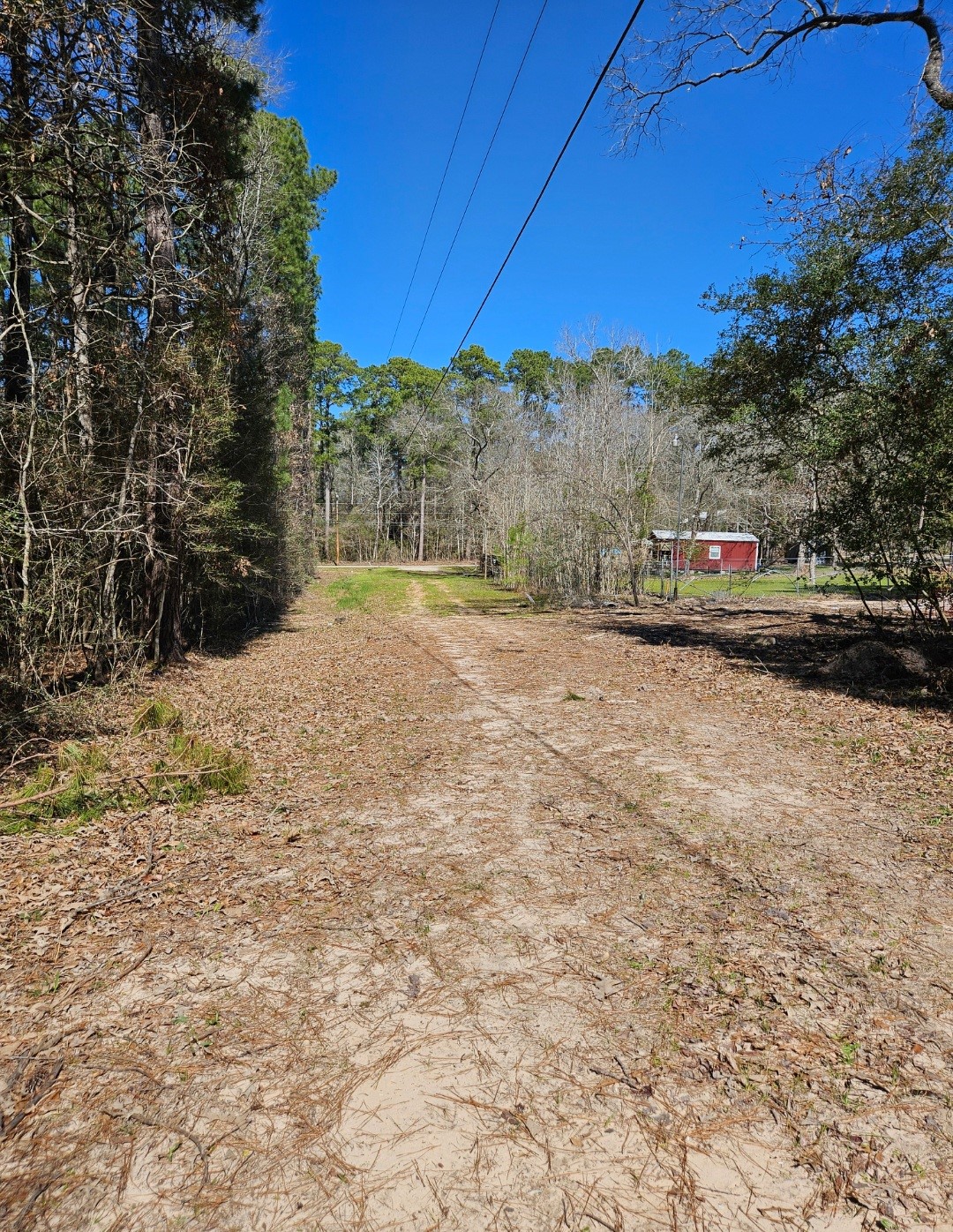 0 Reedwood Property Photo 2