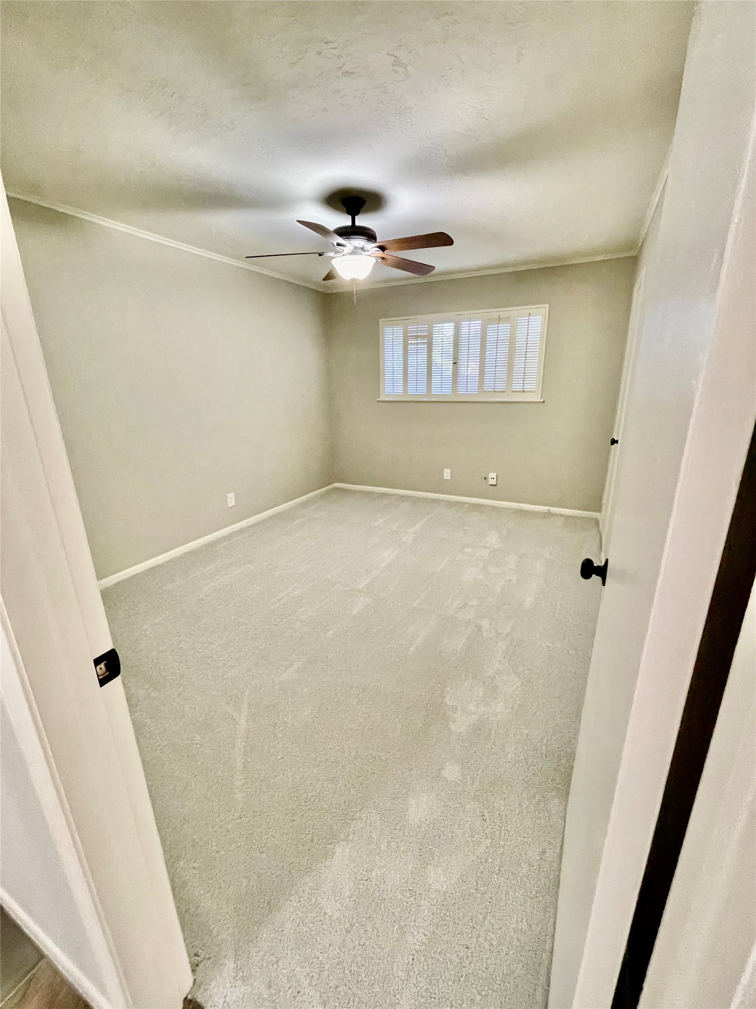 12854 Westhorpe Drive Property Photo 6