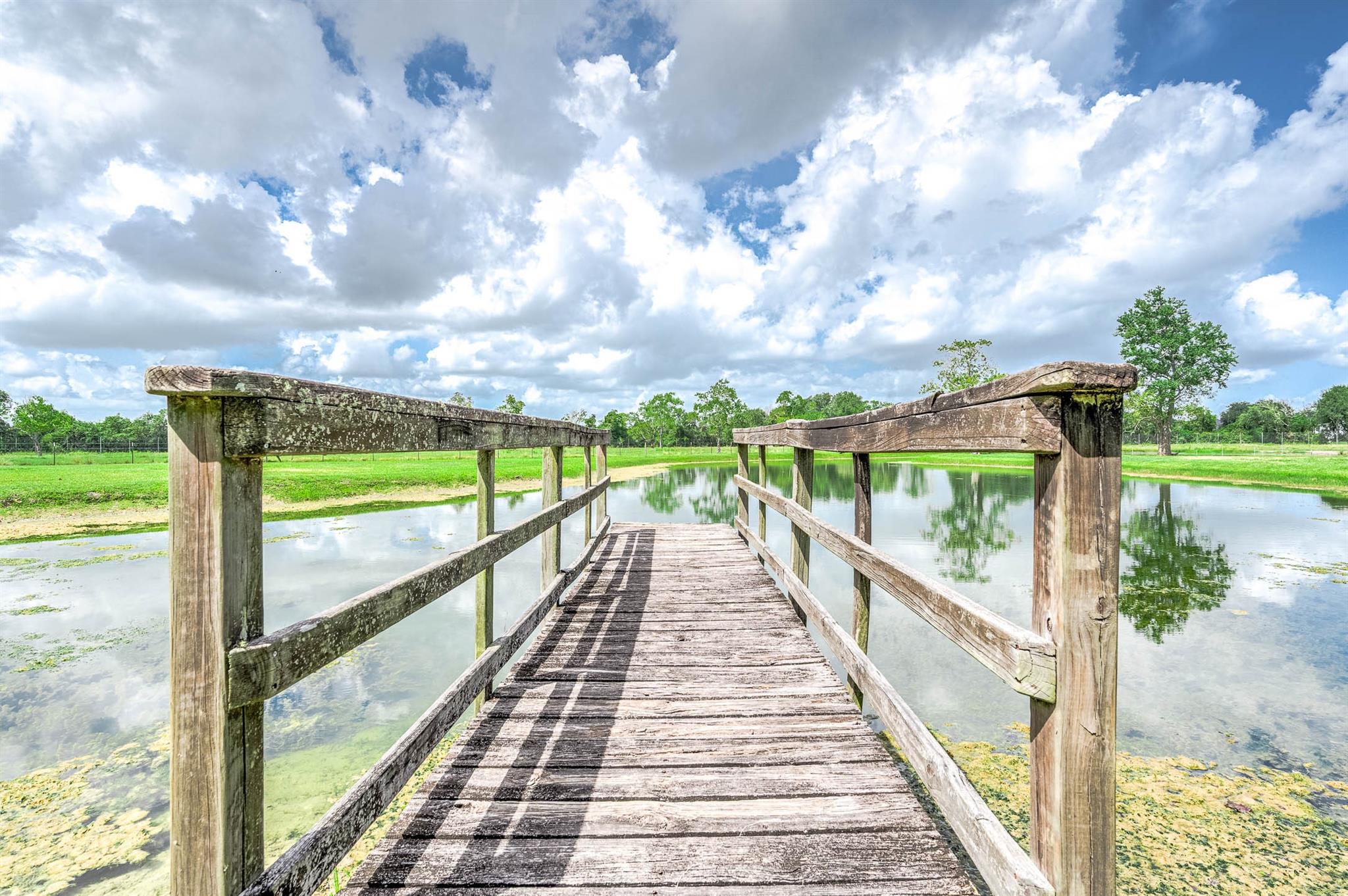 16610 Meadow Lane, Danbury Tx 77534 Property Photo 42